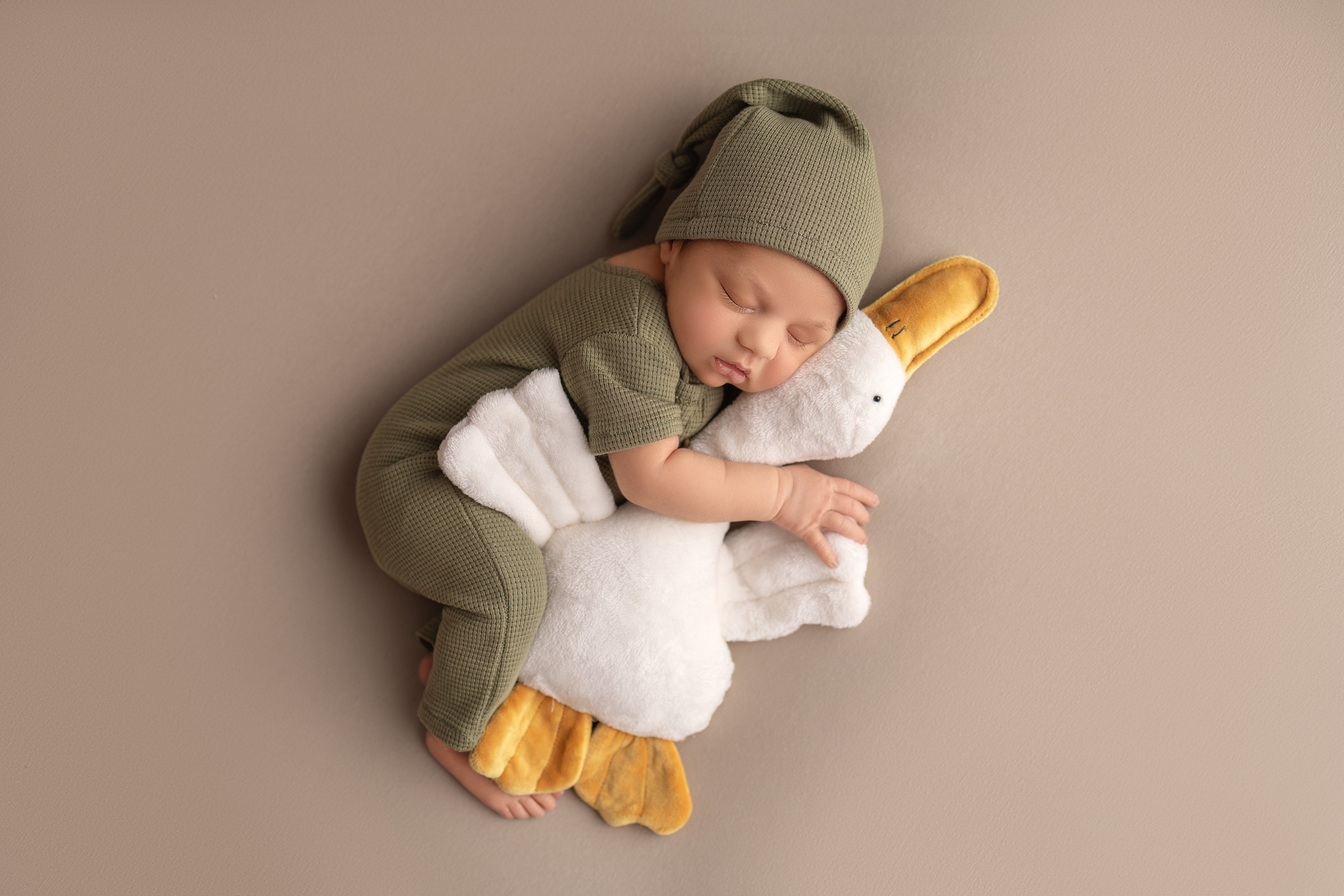 Neugeborene. Neugeborene- Schwangerschaft- und Kinder Fotografin in Lehre