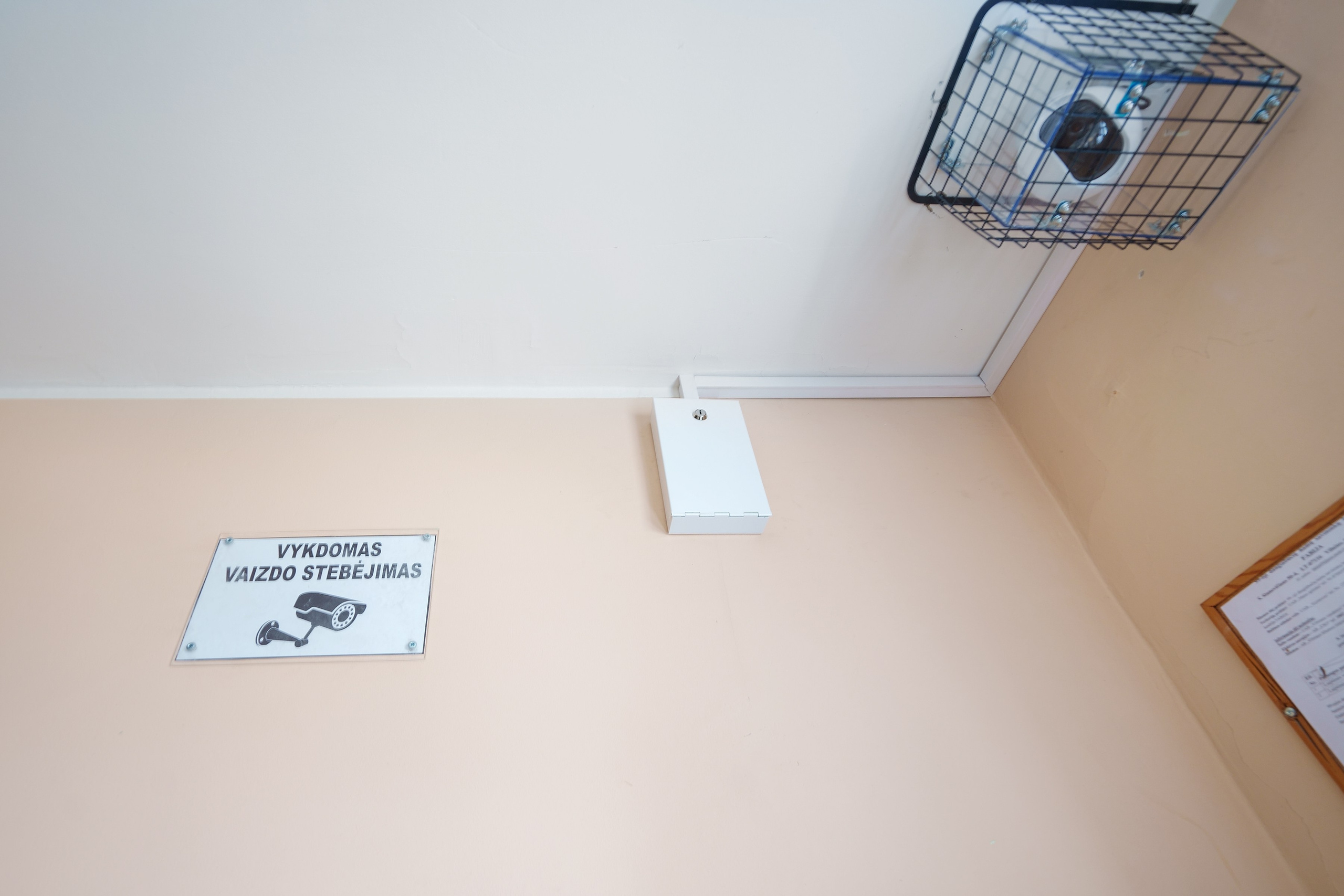 Stanevičiaus g. 64. Elina Sapiega fotografė Vilniuje