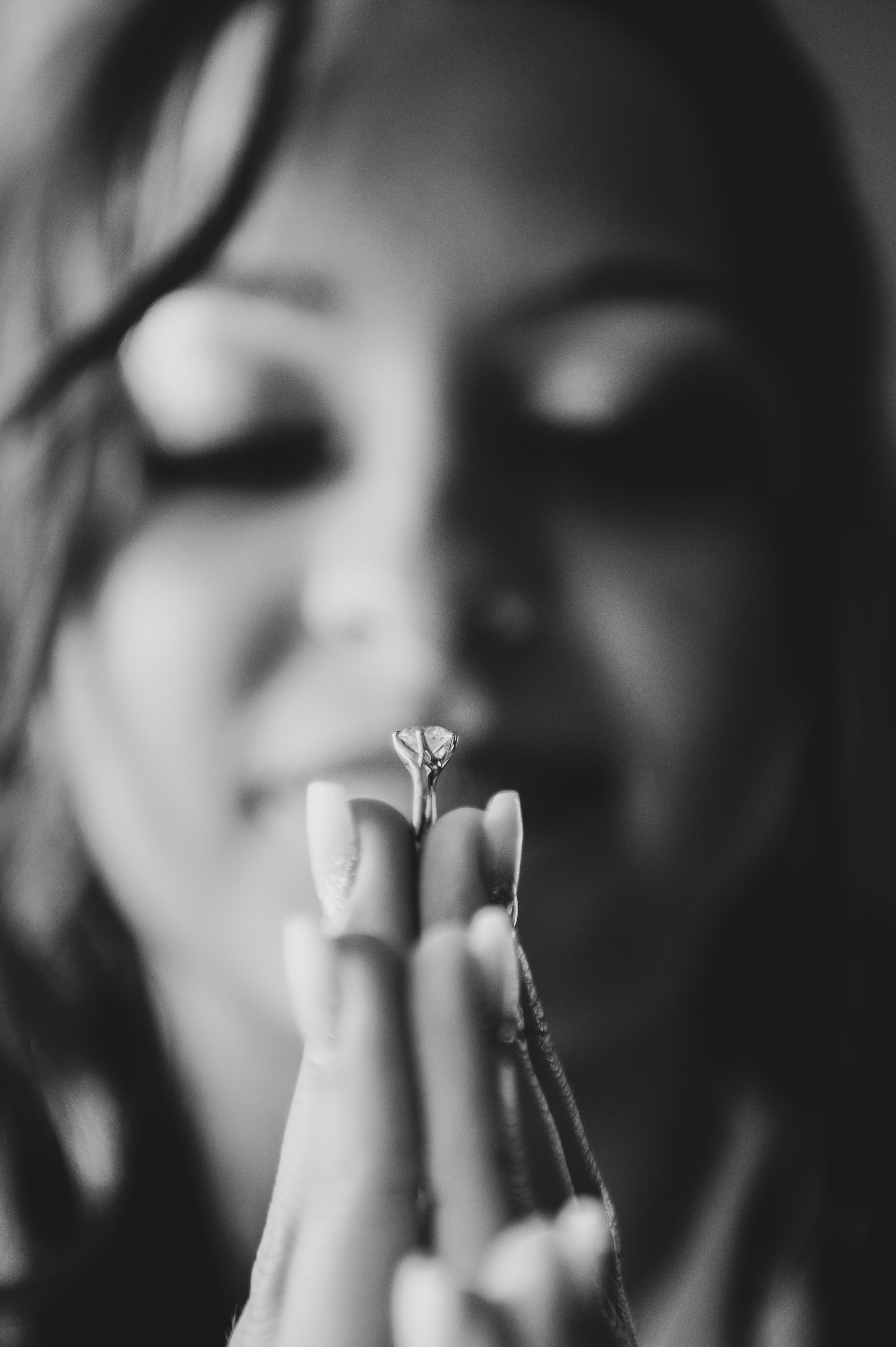 Selectie. Daniel Rotaru Photography