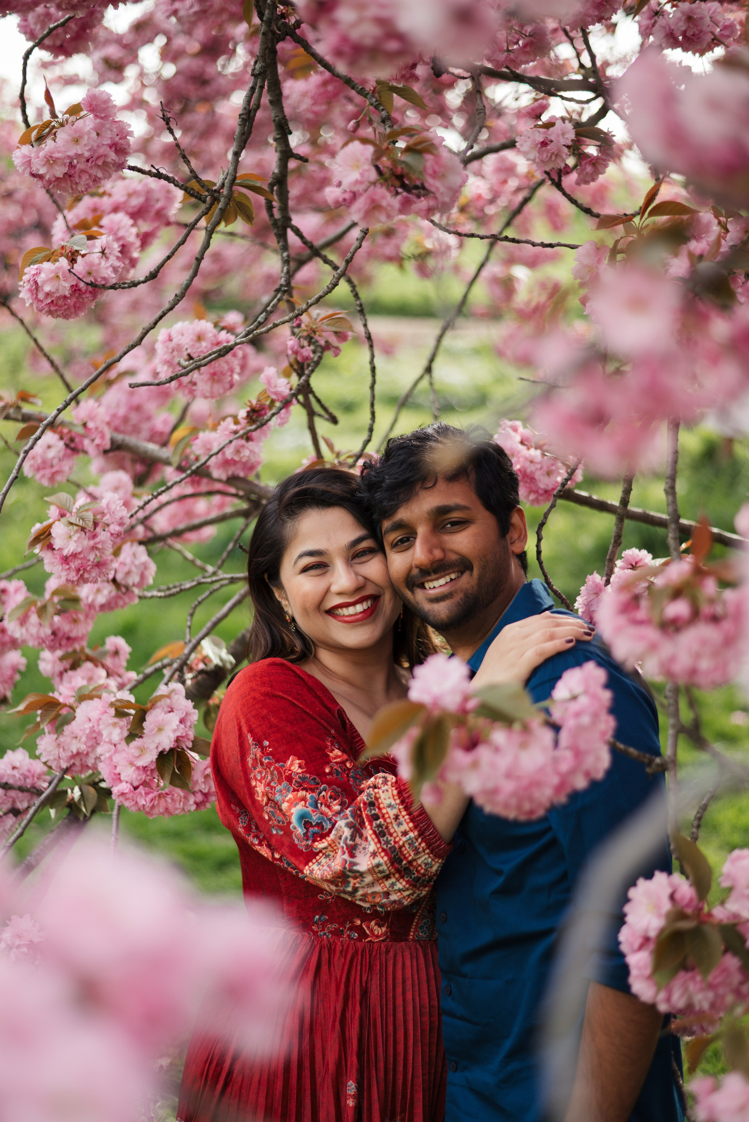 Cherry Blossom. Irina Goncharenko — NYC Photographer