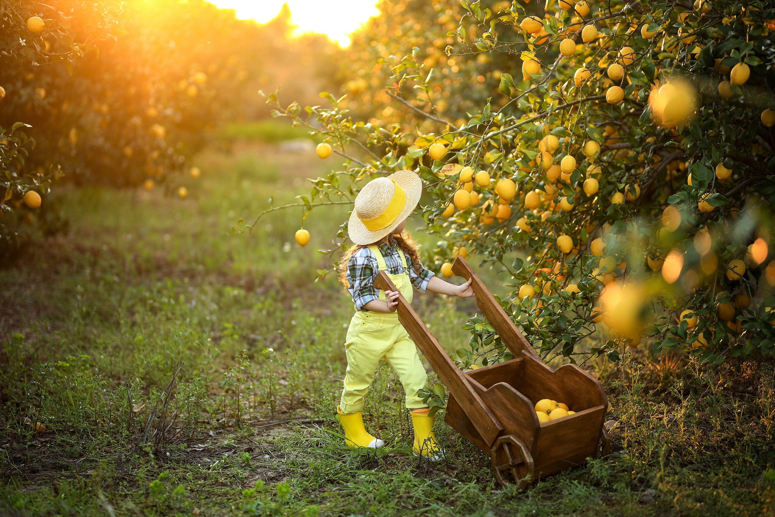 Фотосессия в лимонах. Фотограф в Турции, Анталии, Кемере, Белеке, Сиде, Каше, Калкане, Фетхие