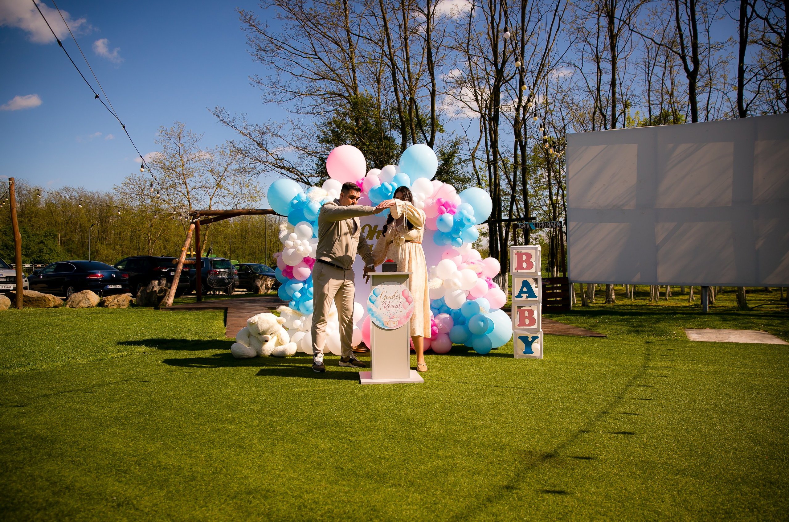 C&D | Gender Reveal. DP Events — echipă foto-video din București, capturăm emoții și transformăm momentele în amintiri autentice