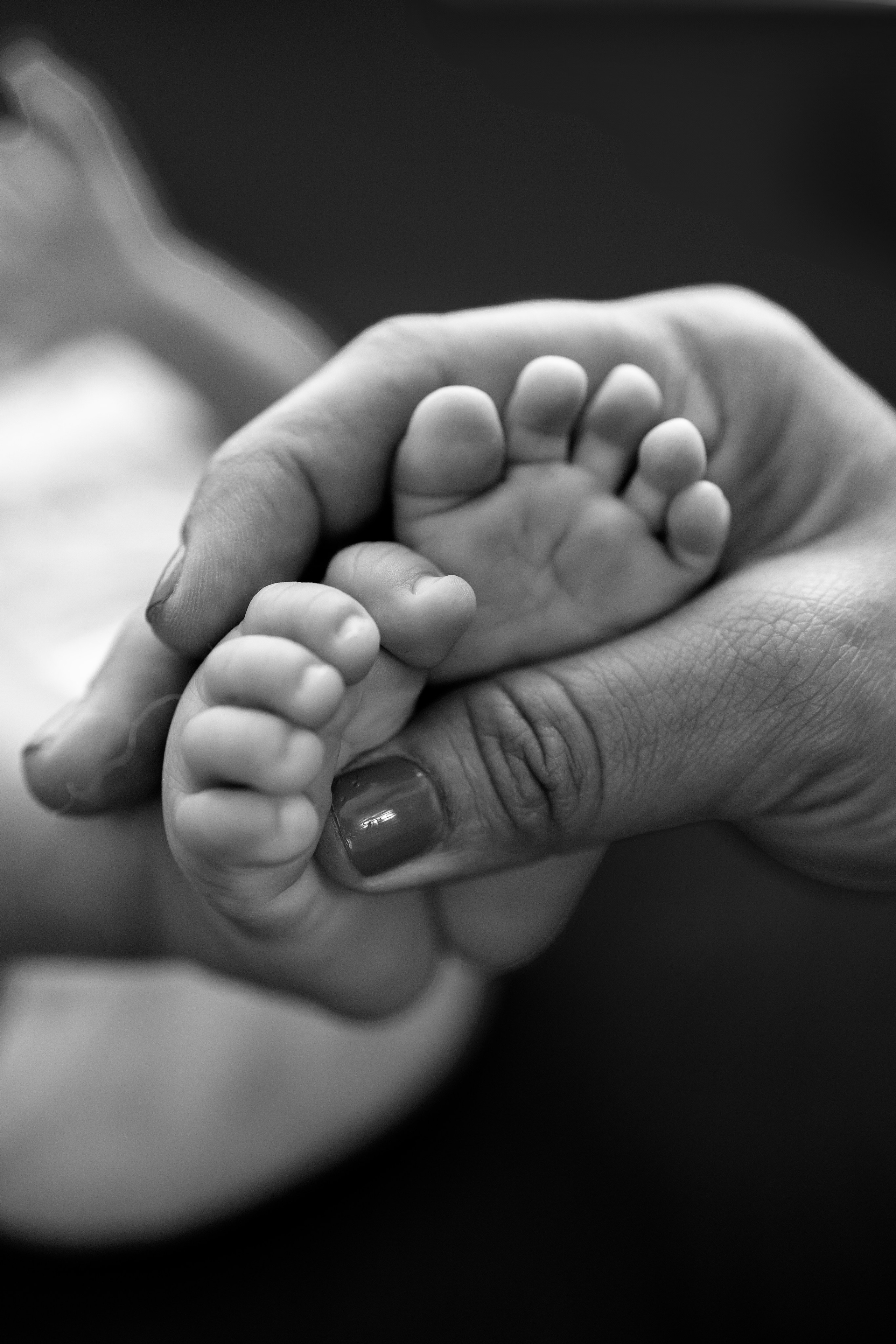 Newborn. Anaeliseevaphoto.com