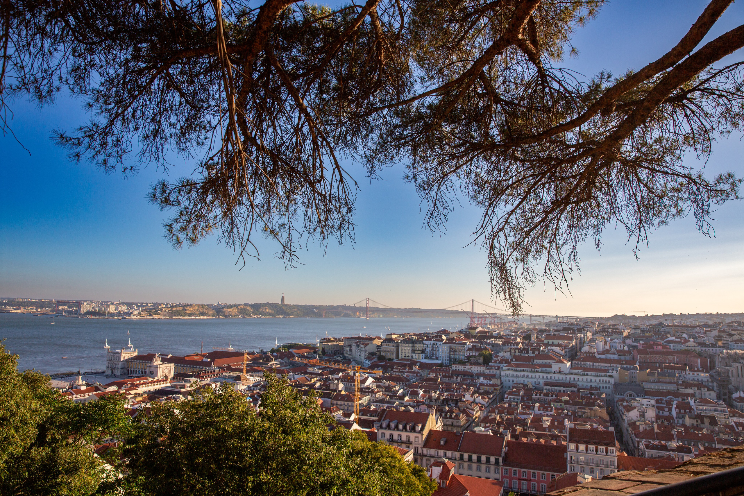 Paisagens. Thiago Chinellato