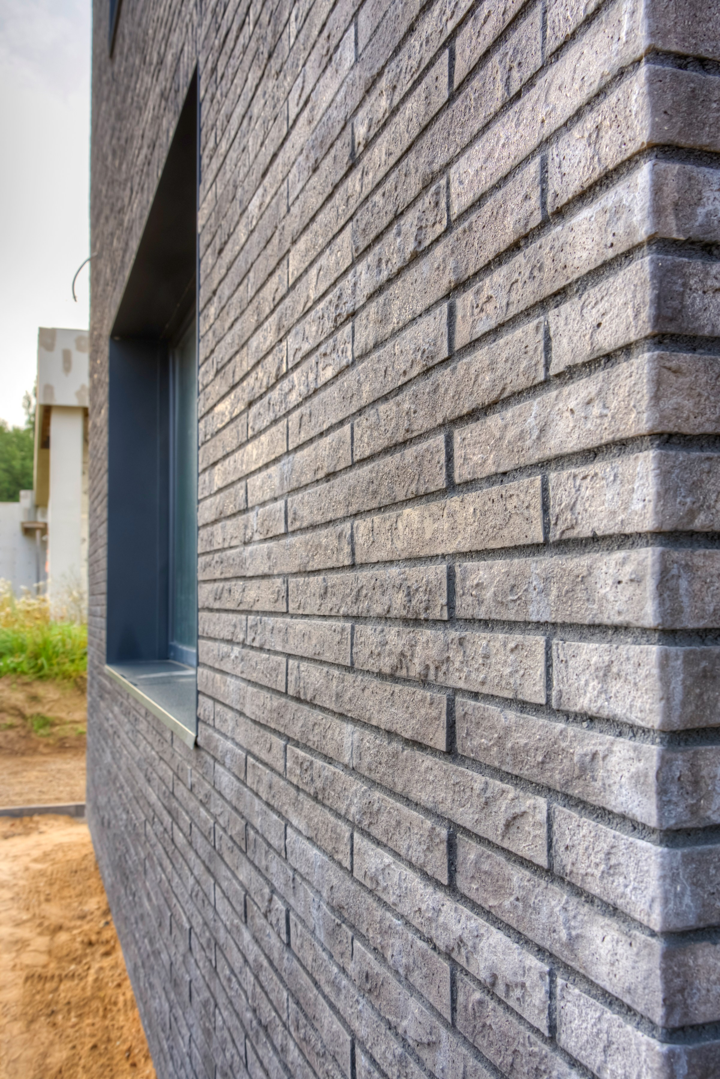 Debesų g. 4, Salotė. Elina Sapiega fotografė Vilniuje