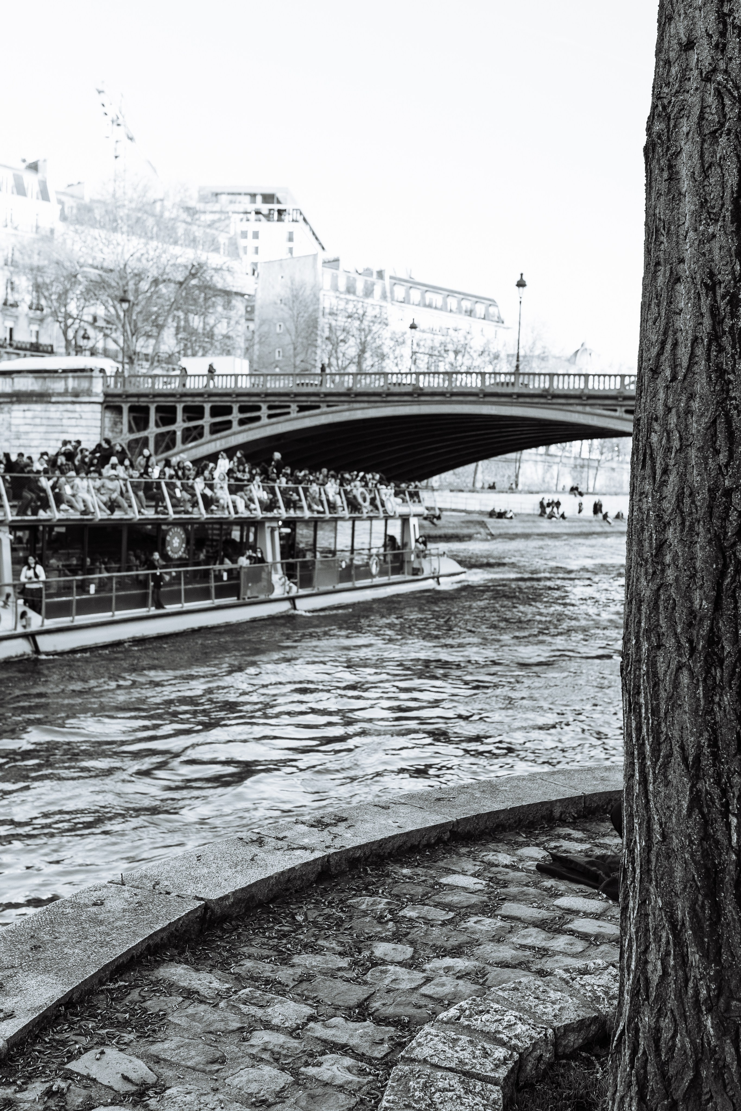 СЪЁМКА СЕБЯ_НОВЫЙ МОСТ, СИТЕ и СЕН-ЛУИ