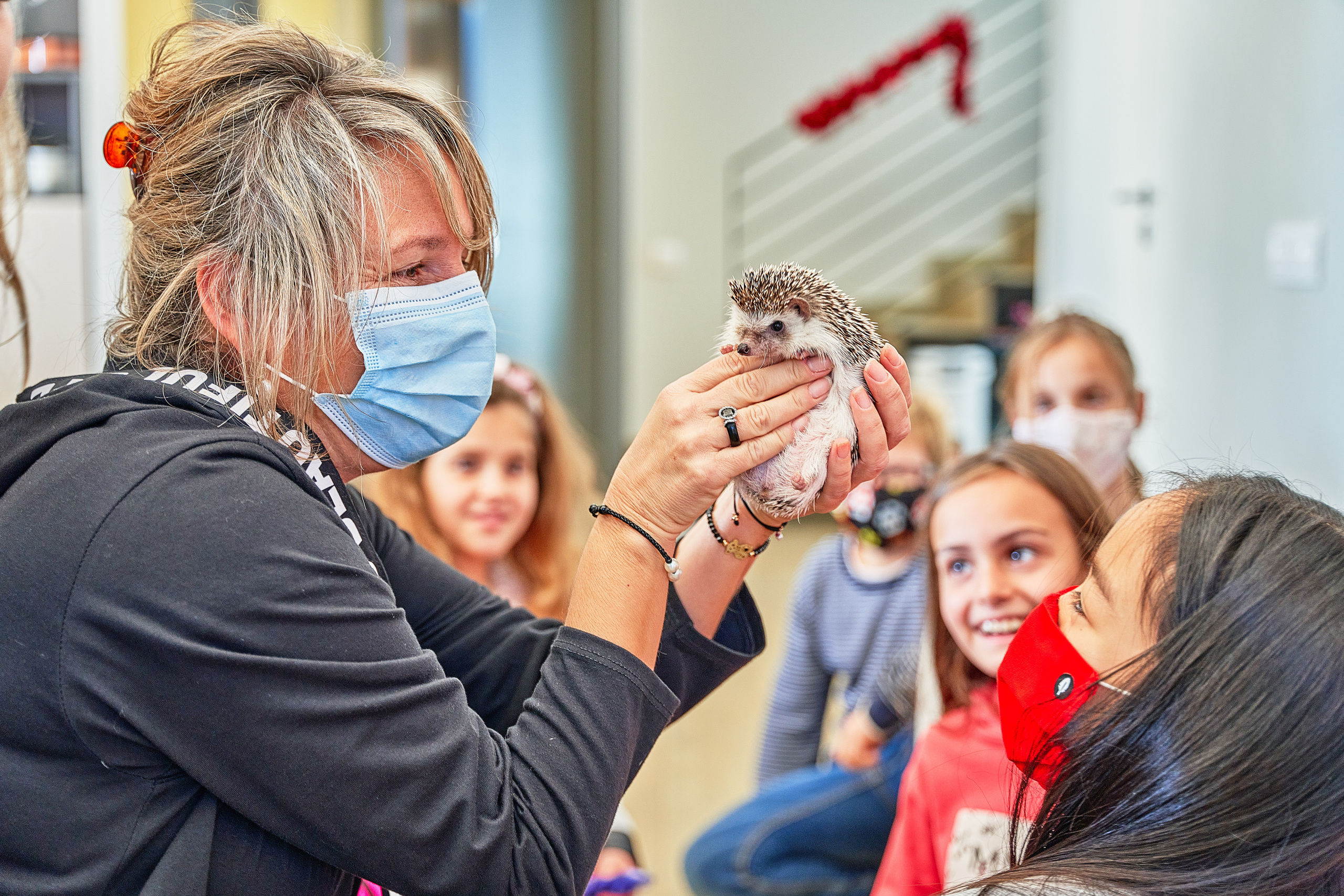 Children’s birthday. Inicio