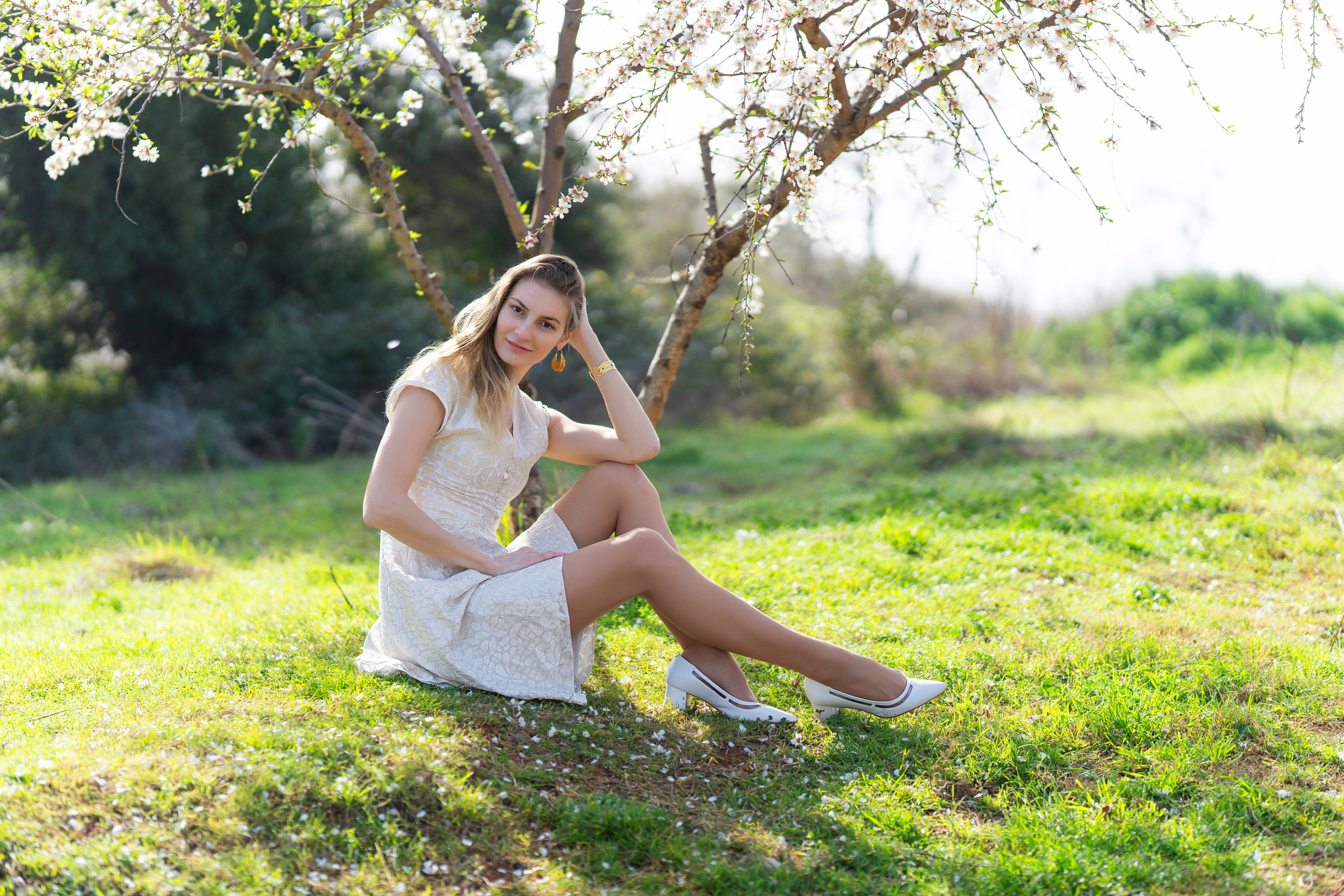 Almond blossom. Inicio