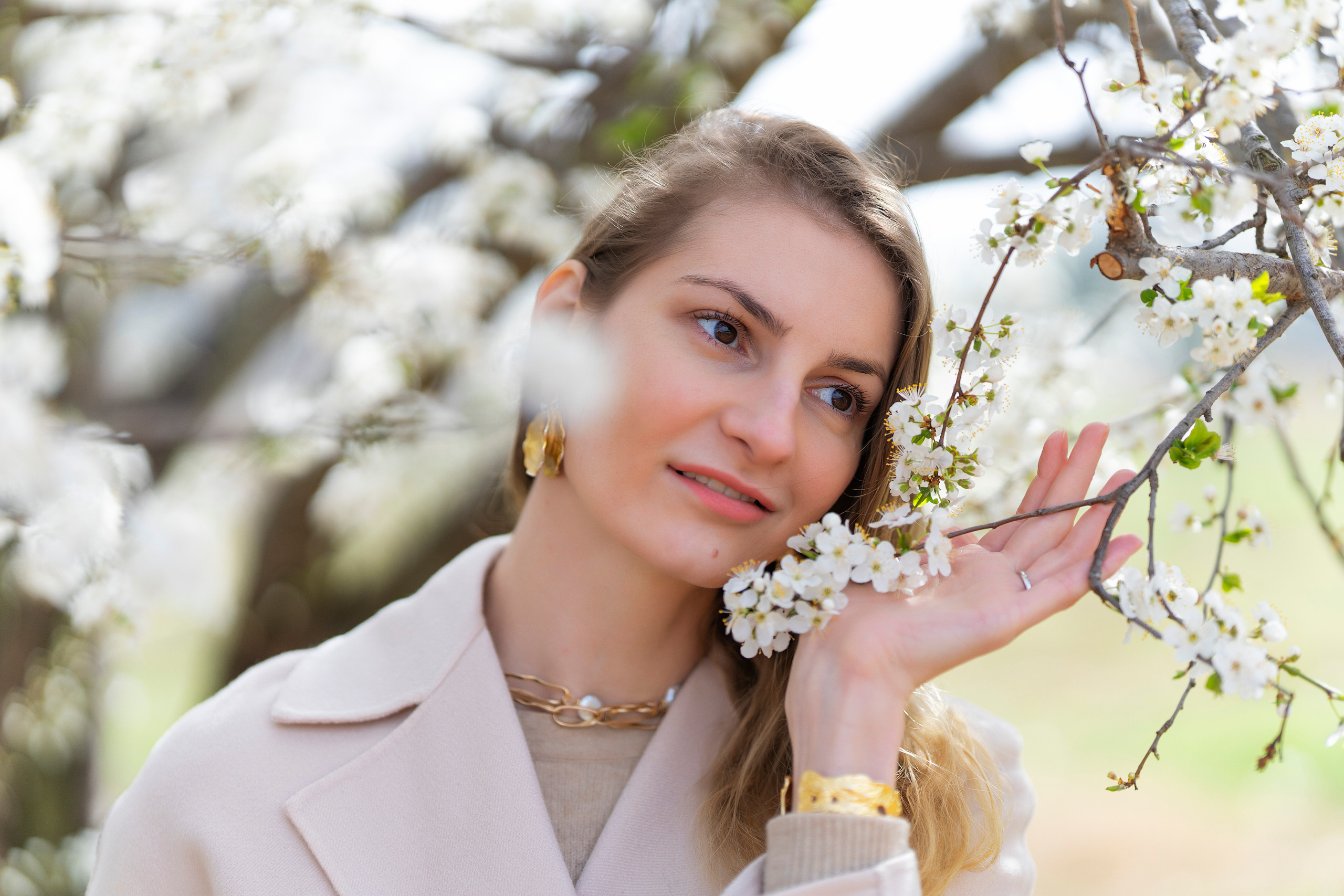 Almond blossom. Inicio