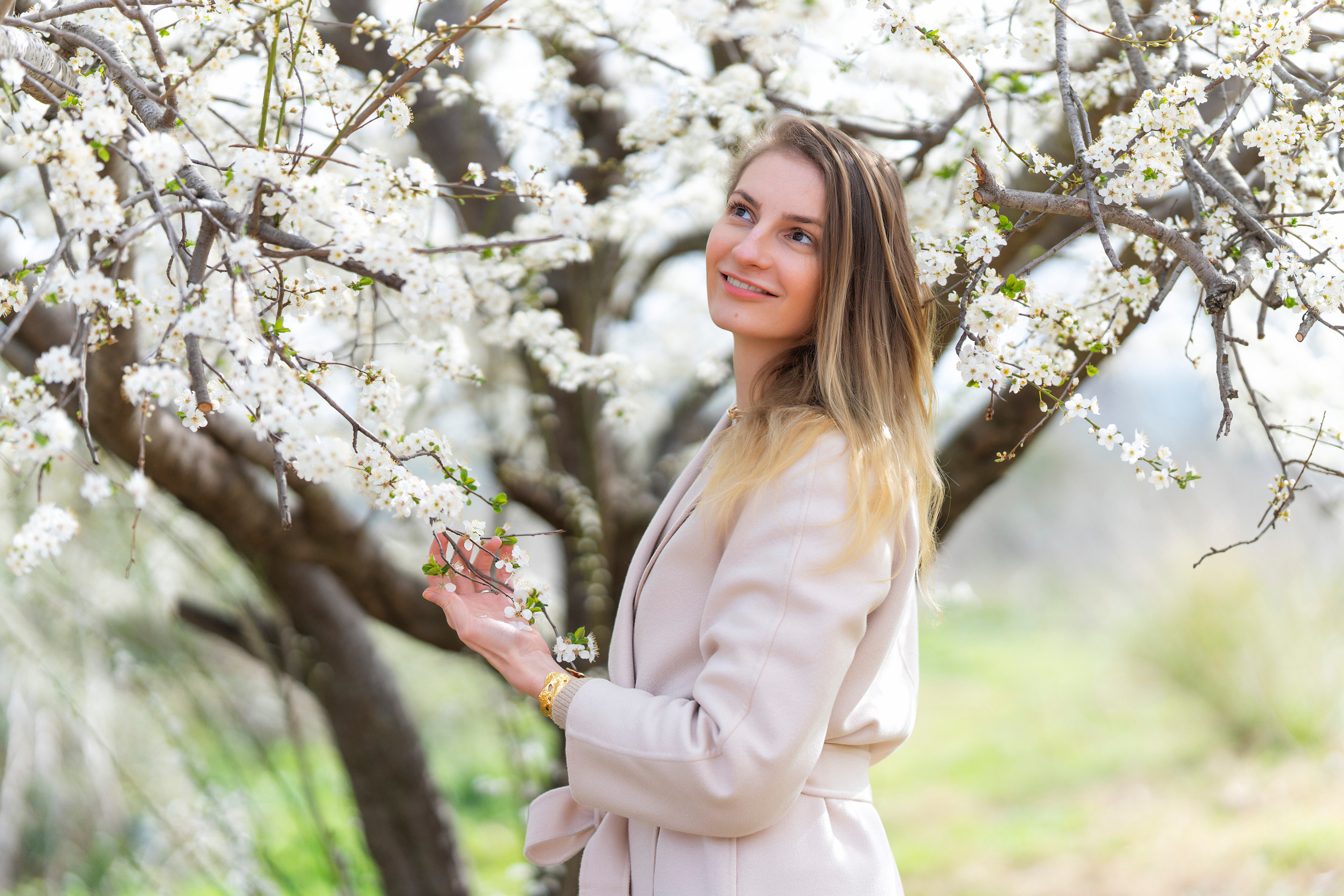 Almond blossom. Inicio