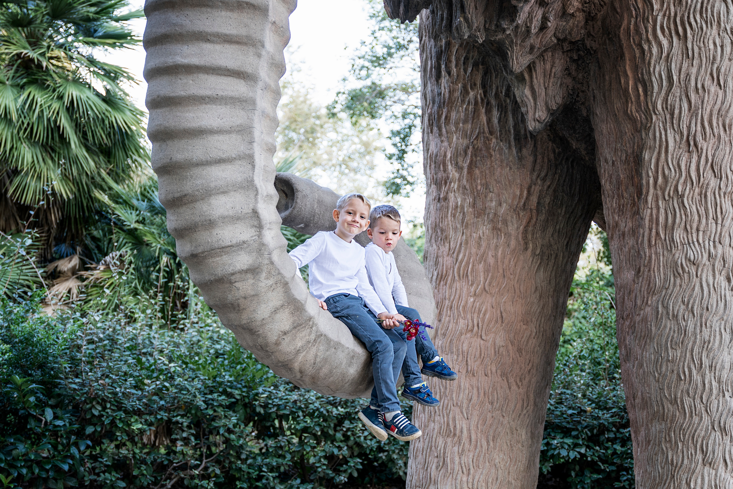 A family picnic in Ciutadella Park. Inicio