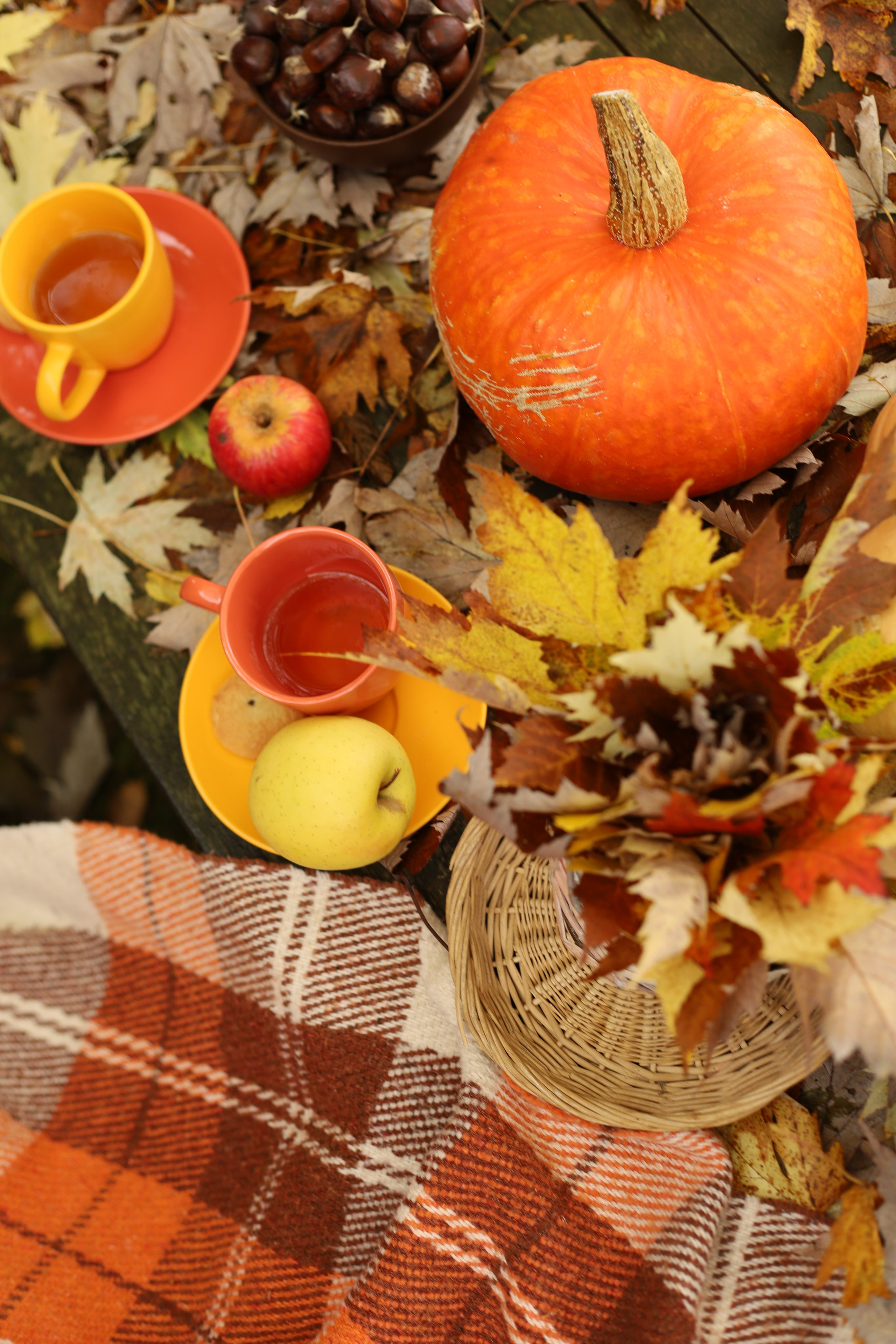 Séance photo d’automne: Meilleurs amis. Photographe et graphiste Anastasiia LITVIN - Besançon, France