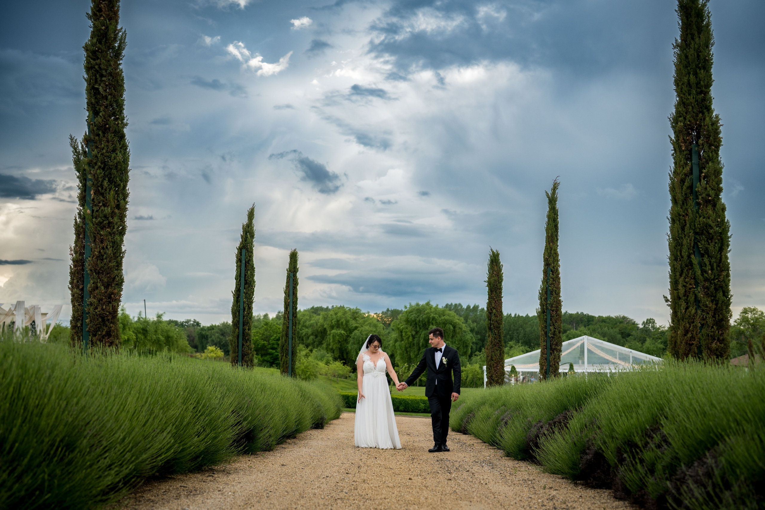 Adriana & Alex. Gabriel Florea — Fotograf nuntă București