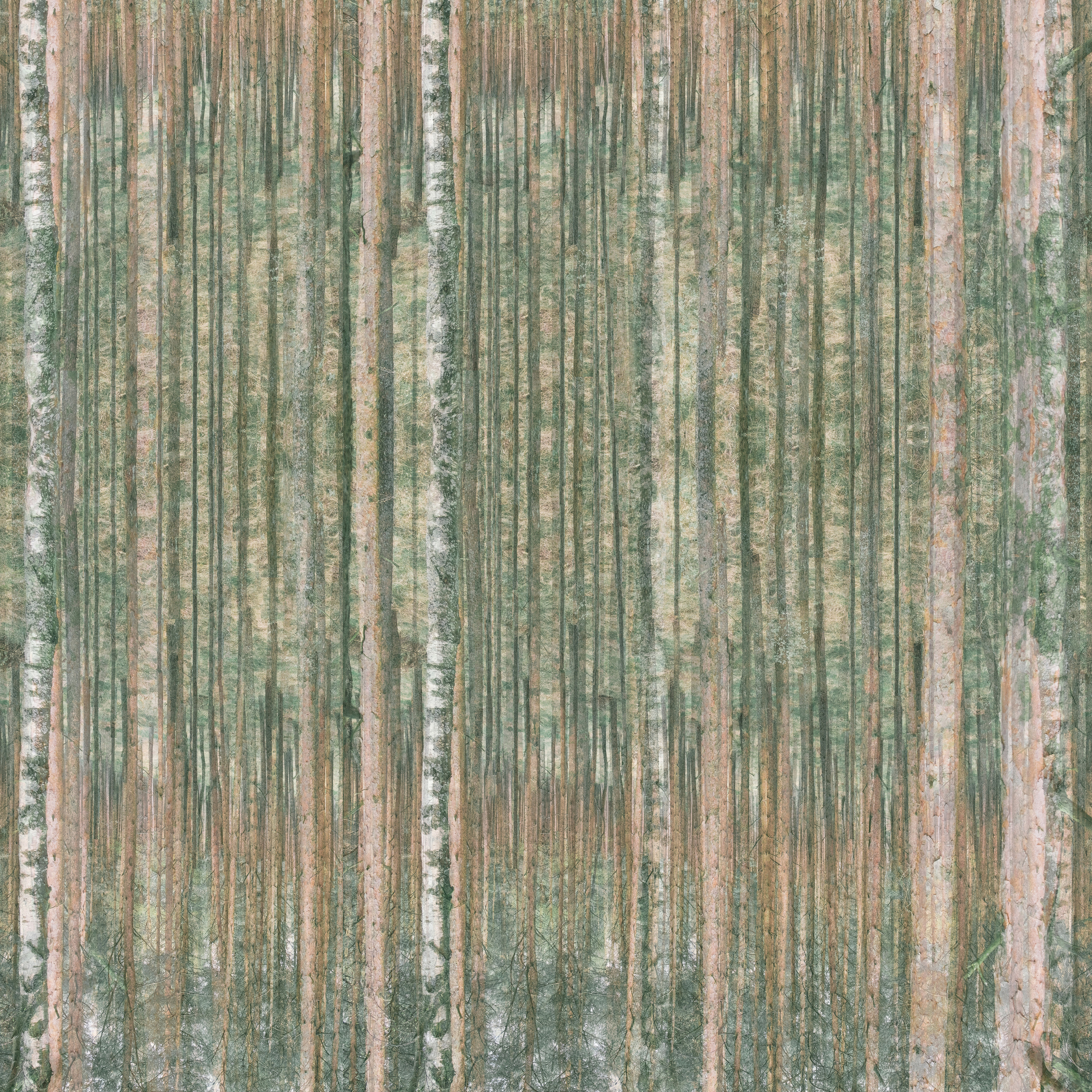 I travel around Russia. Photographer Anastasiya Dubrovina