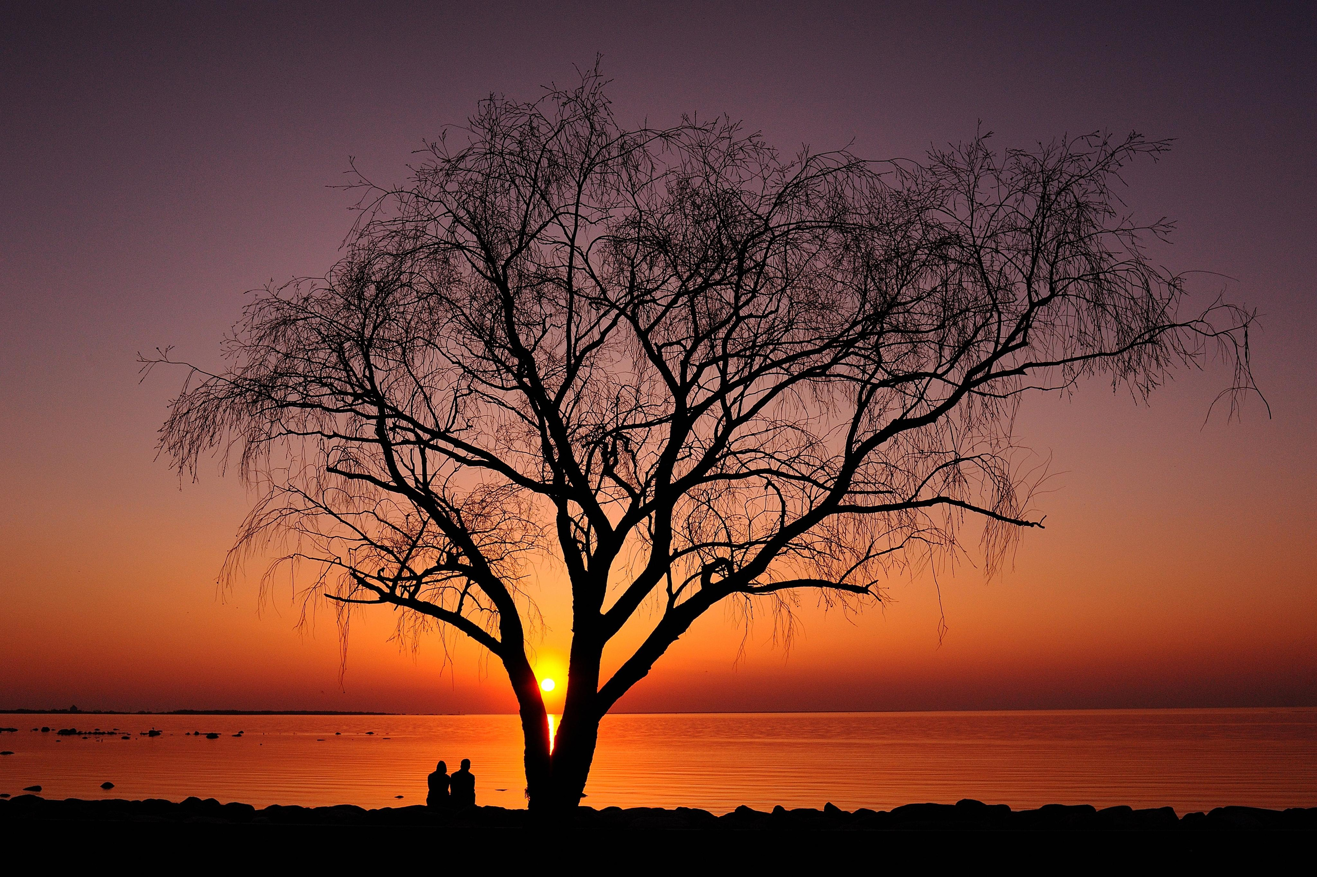 Family and wedding photographer in Tallinn — Aleksei Volkov