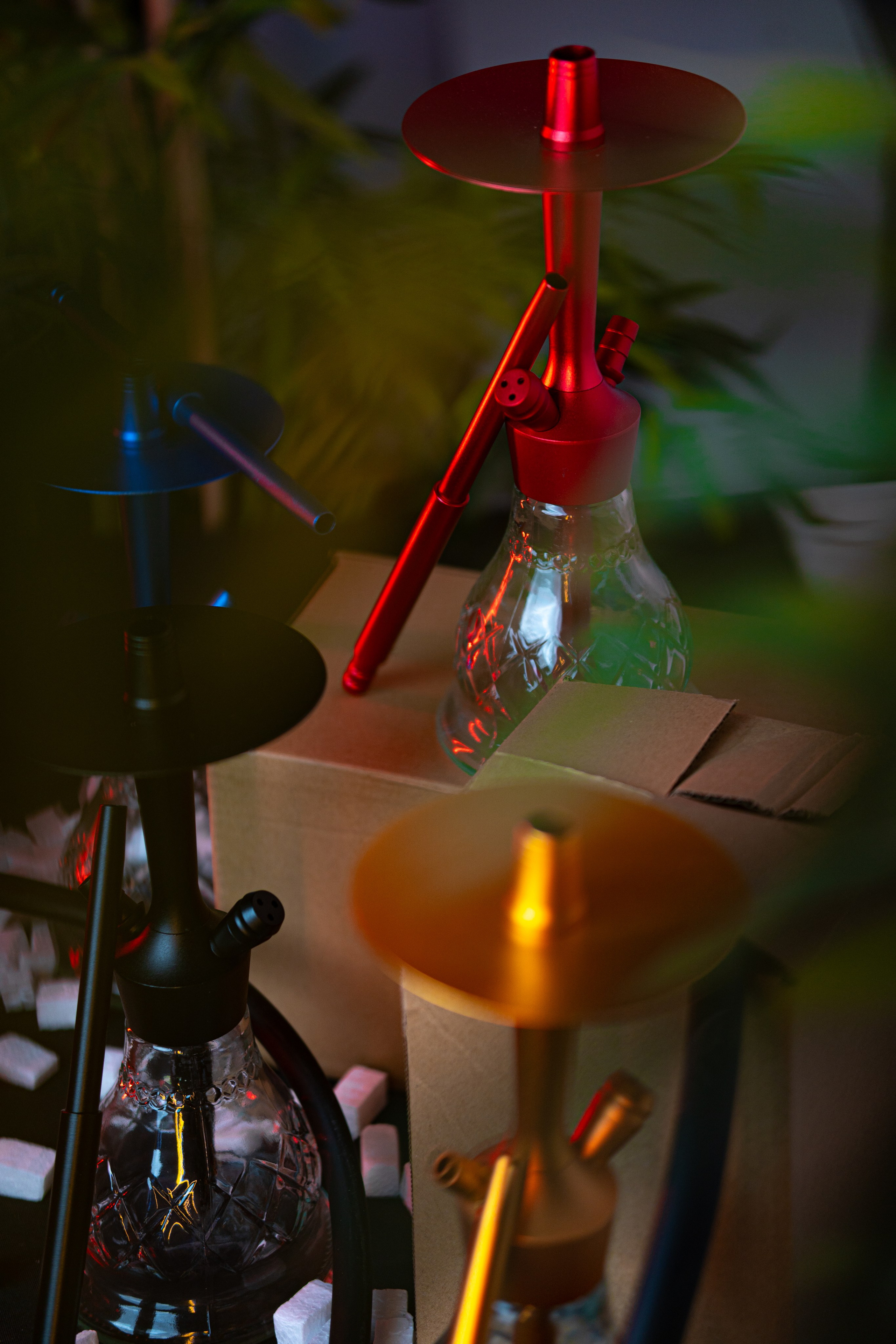 Cachimbas. Baby Beast