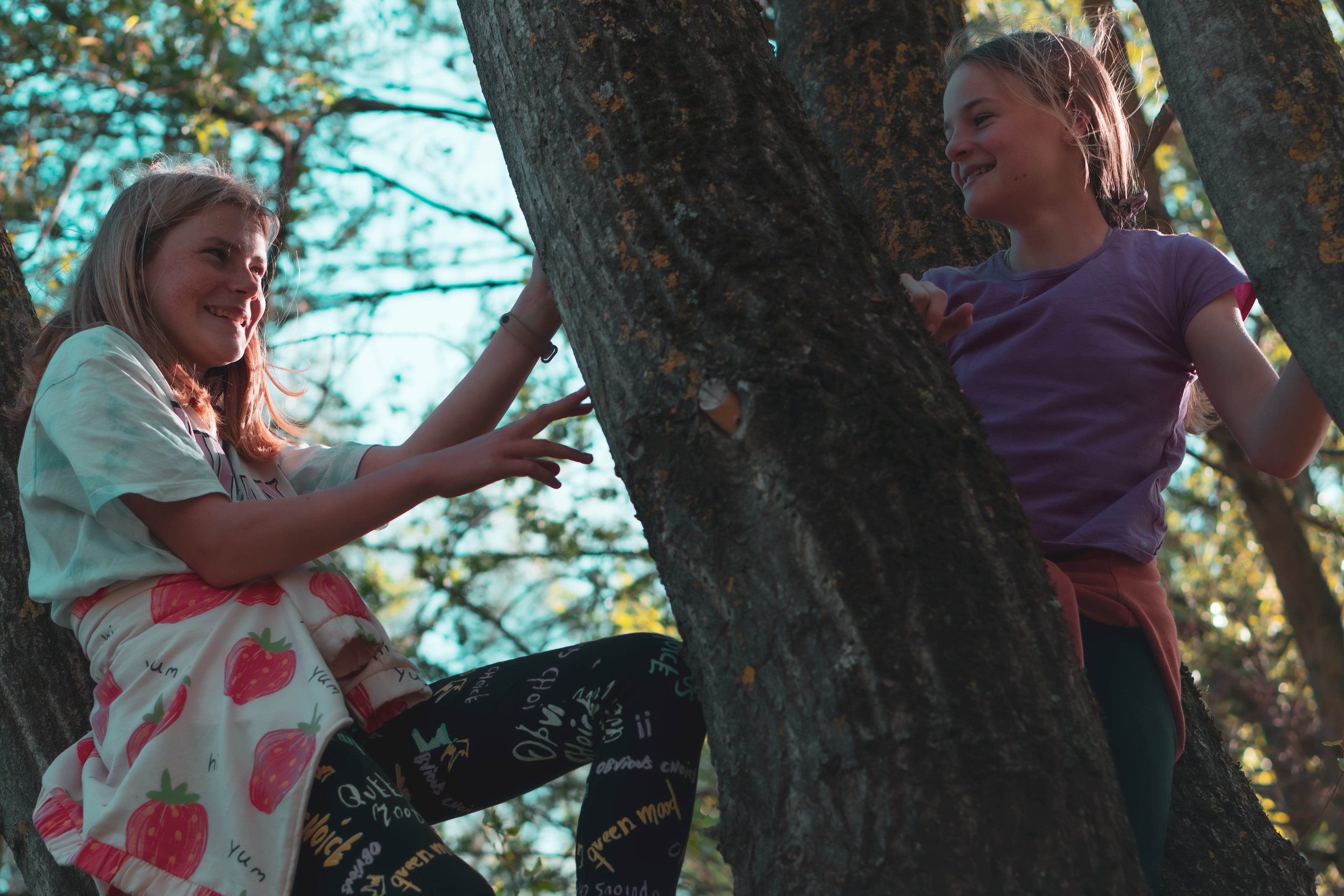 Noa&Agnia. Alba del Norte Studio