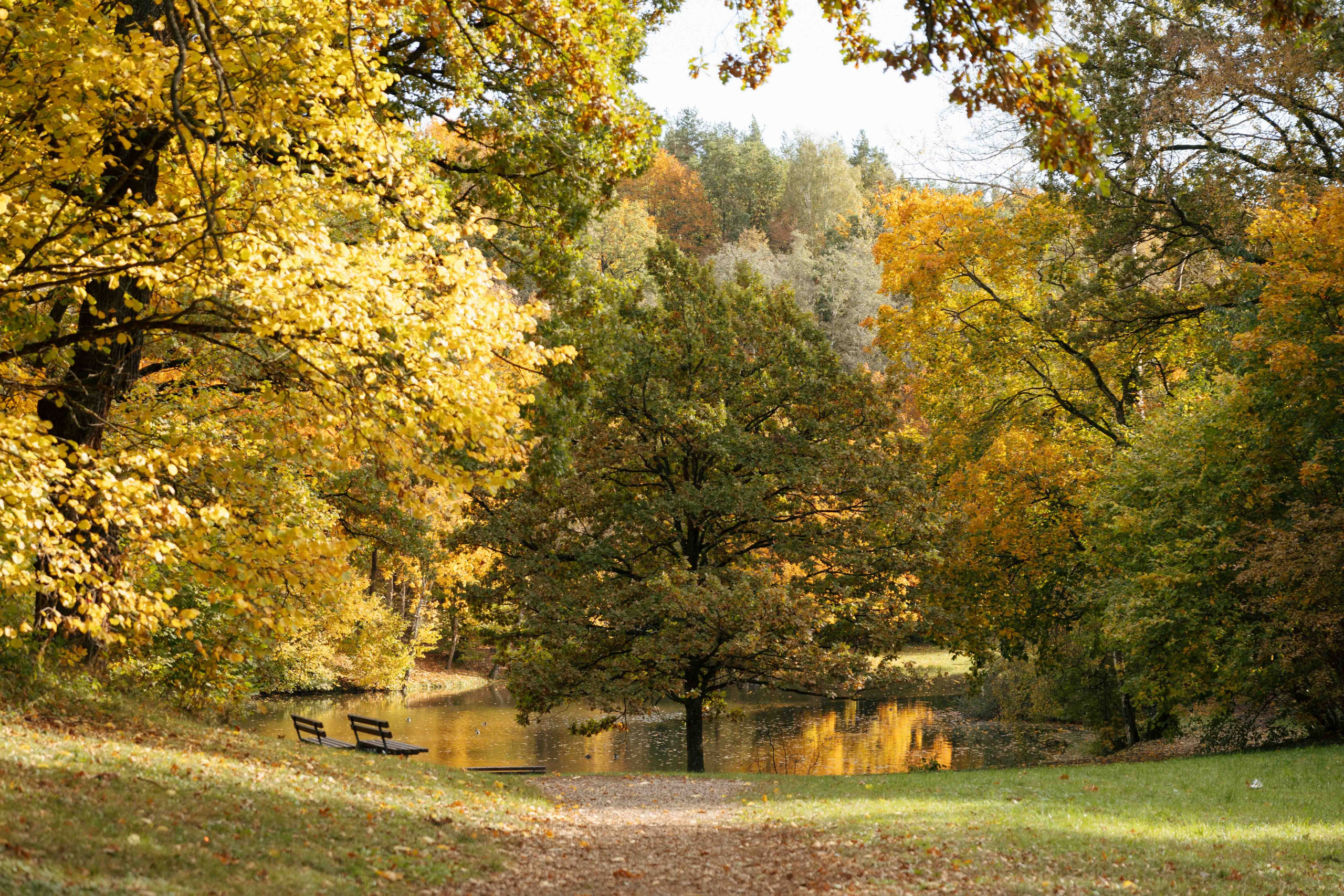 Best Autumn Photoshoot Locations in Vilnius: Top Spots to Capture the Fall Colors. Framed by Evelina | Destination Wedding Photographer from Lithuania | Europe