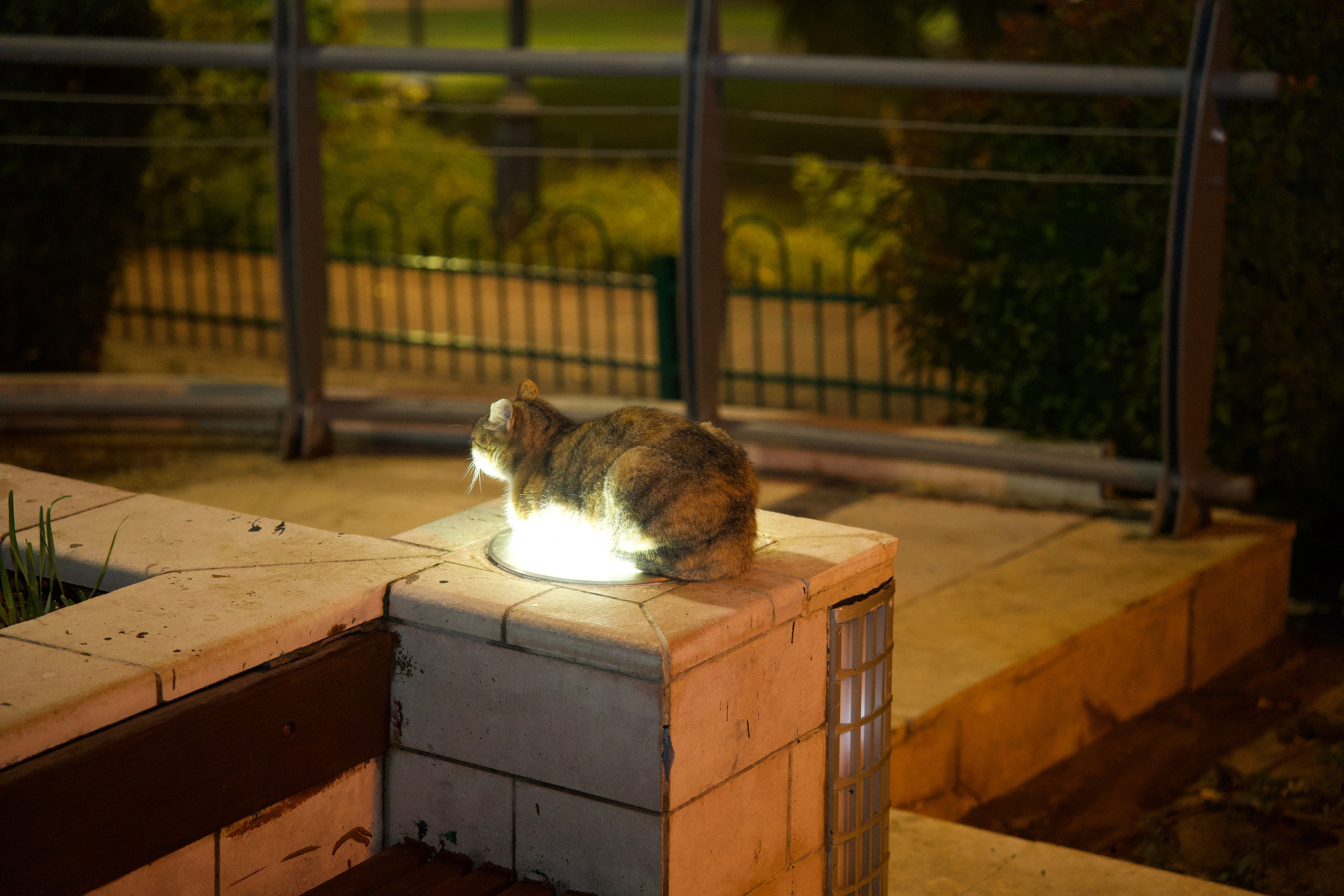 Everything from everything