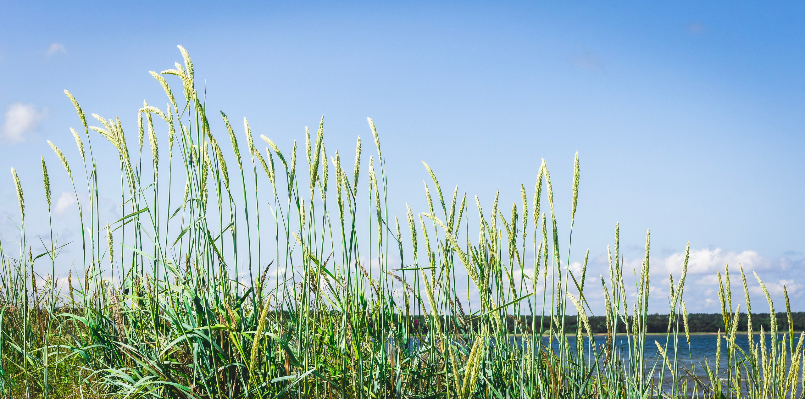 Jalgrattasõti, Klooga-Laagri (Kostja S. ja Ilja). Nebula 25 — Fotod teie hingele