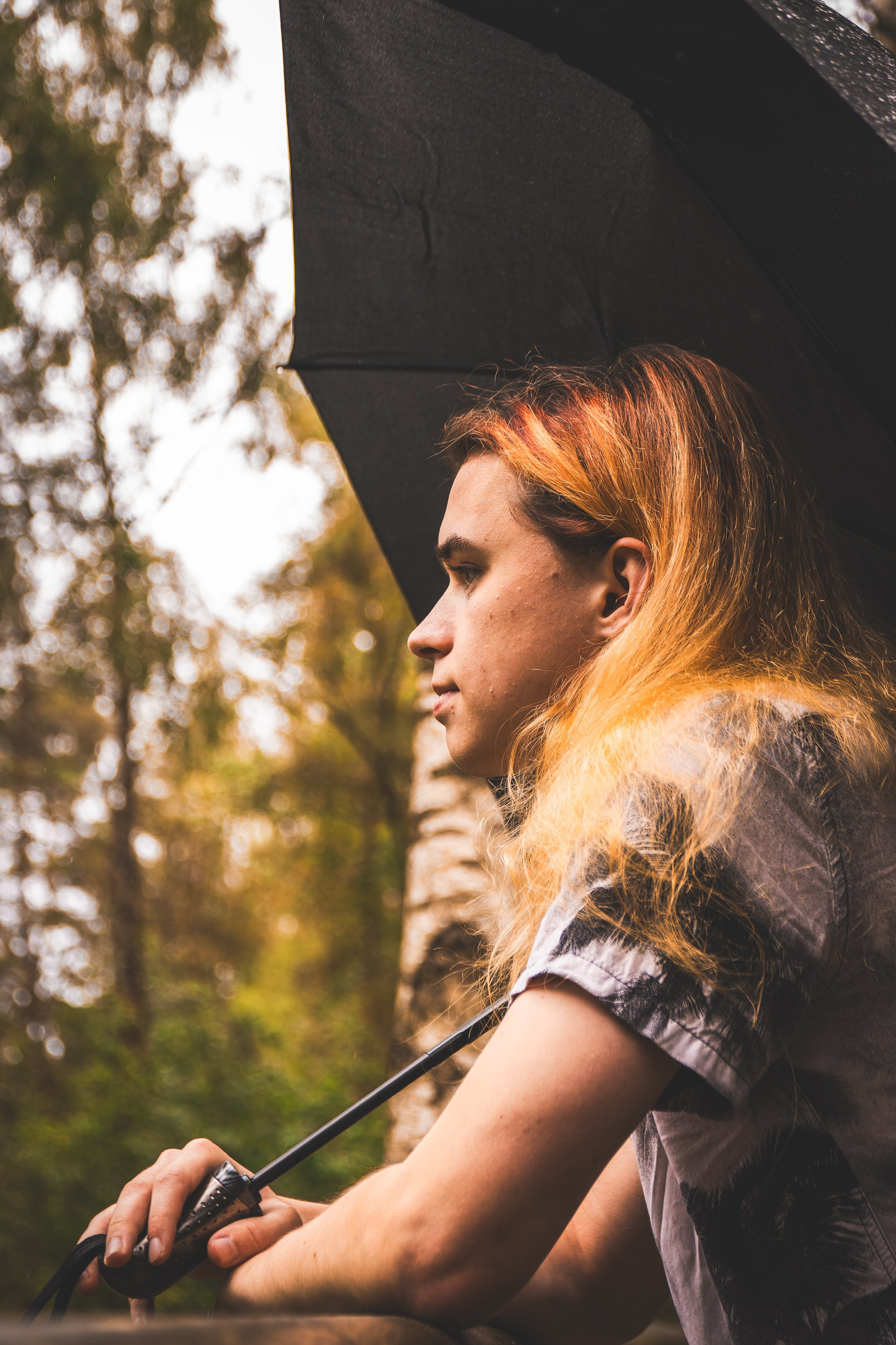 Mets, vihm ja jahedus (Dimitry). Nebula 25 — Fotod teie hingele