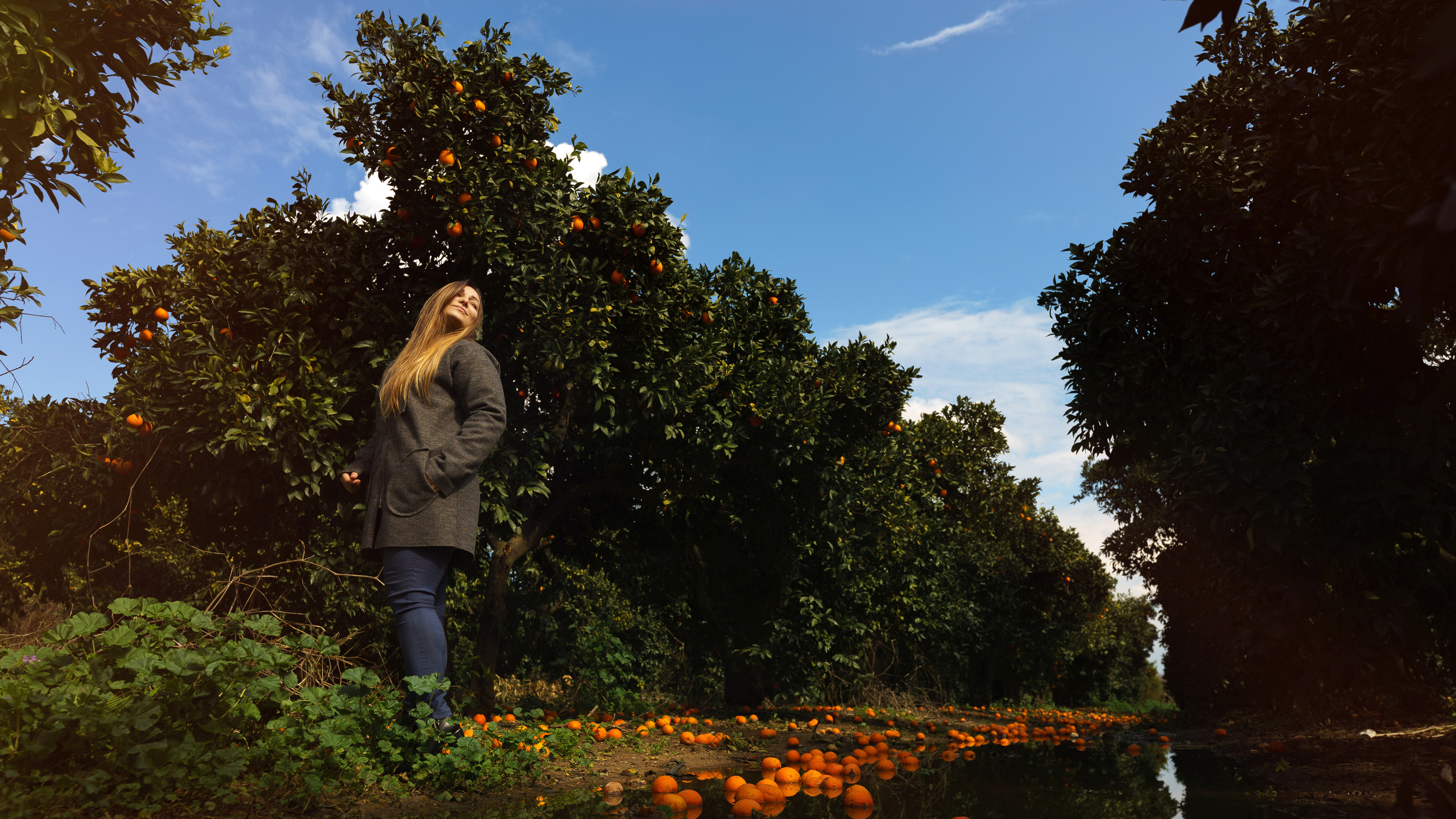 Alex Selivanov Photographer