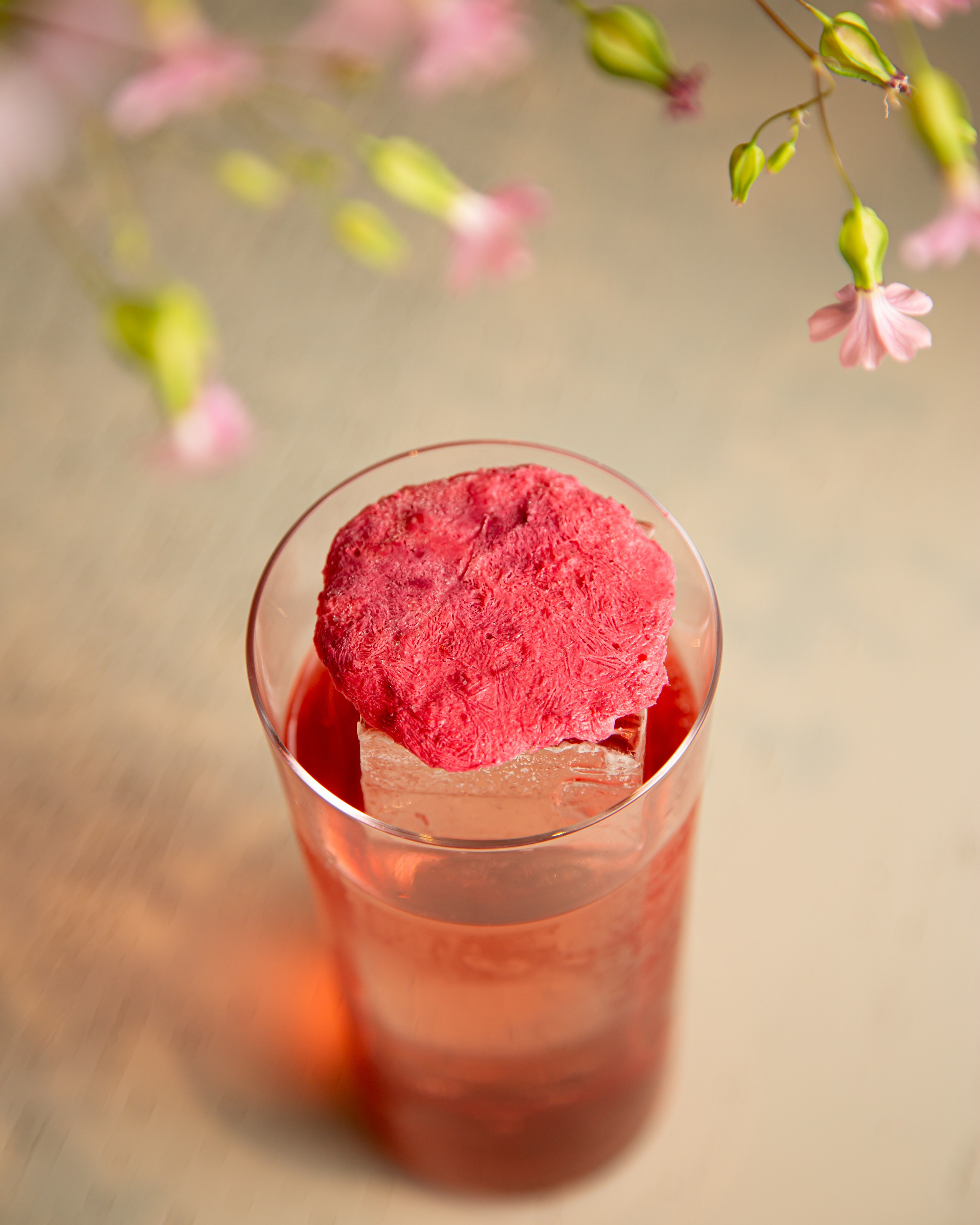Food photoshoot