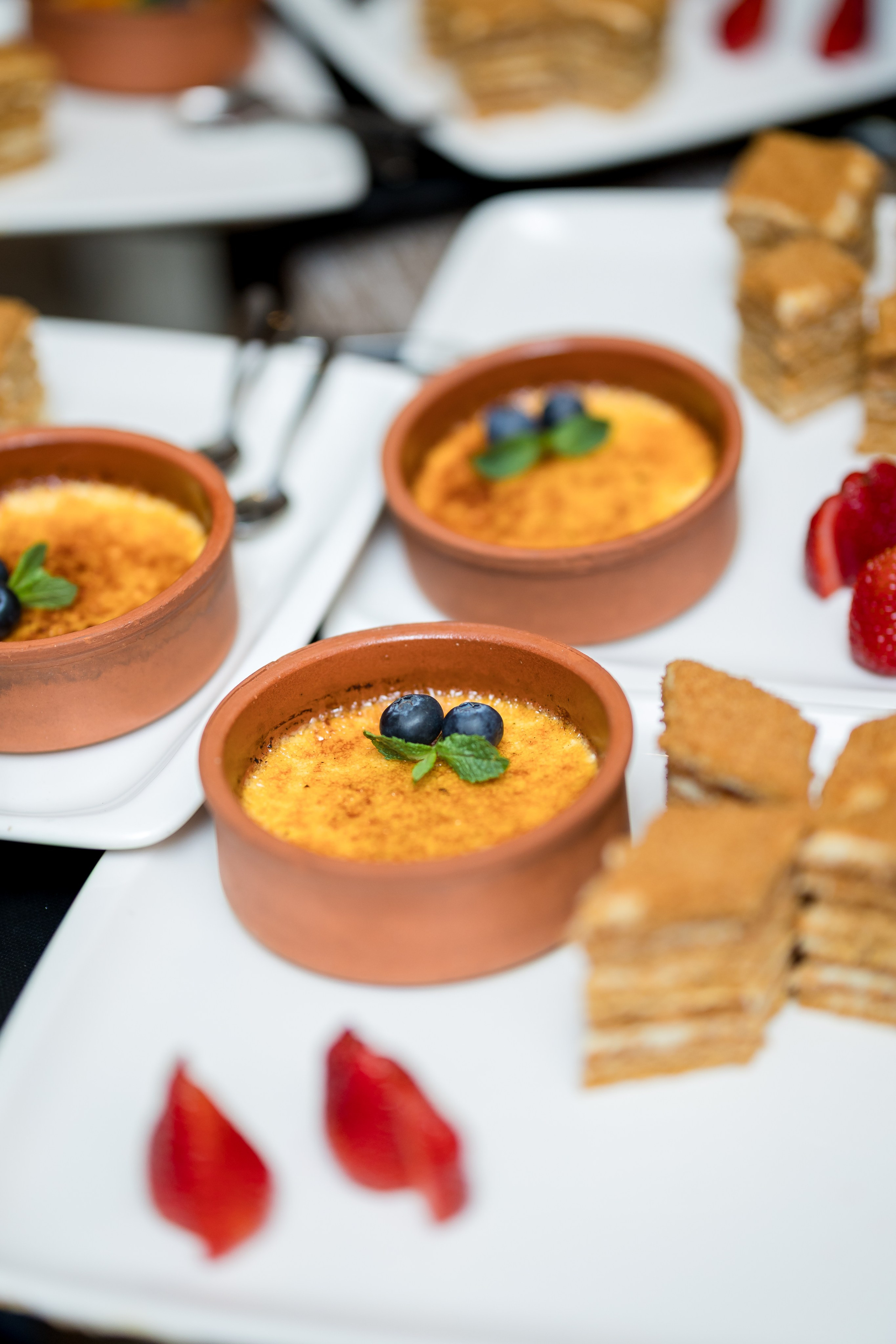 Barel Corporation — Batumi Georgia. AMIR BUCHNIK PHOTOGRAPHER