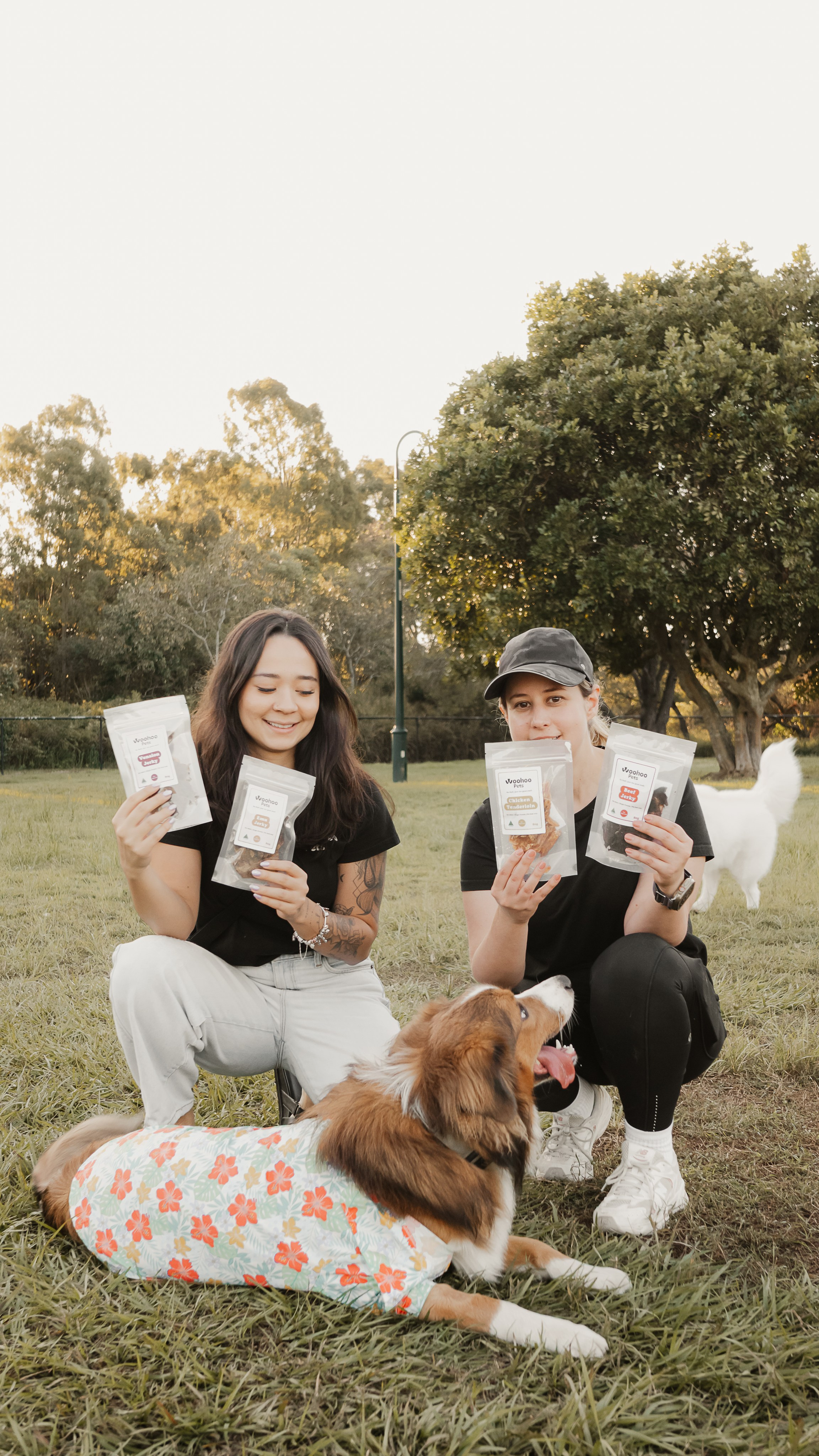Dogs. Natural and candid photography Jean Santiago