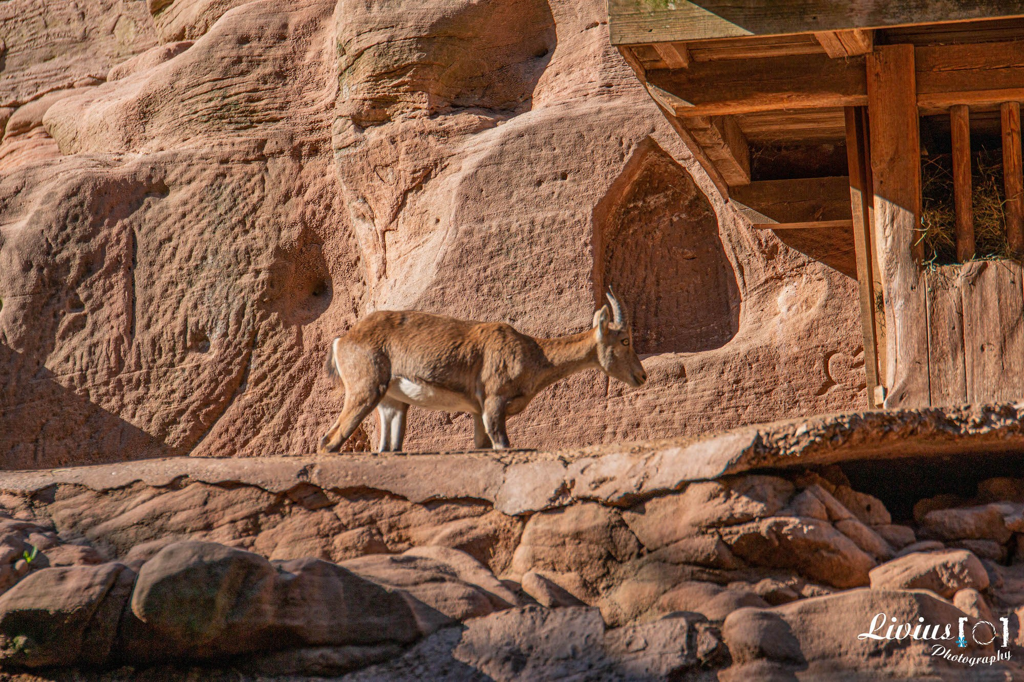 Tierpark Nürnberg. FOTO KREATIV
