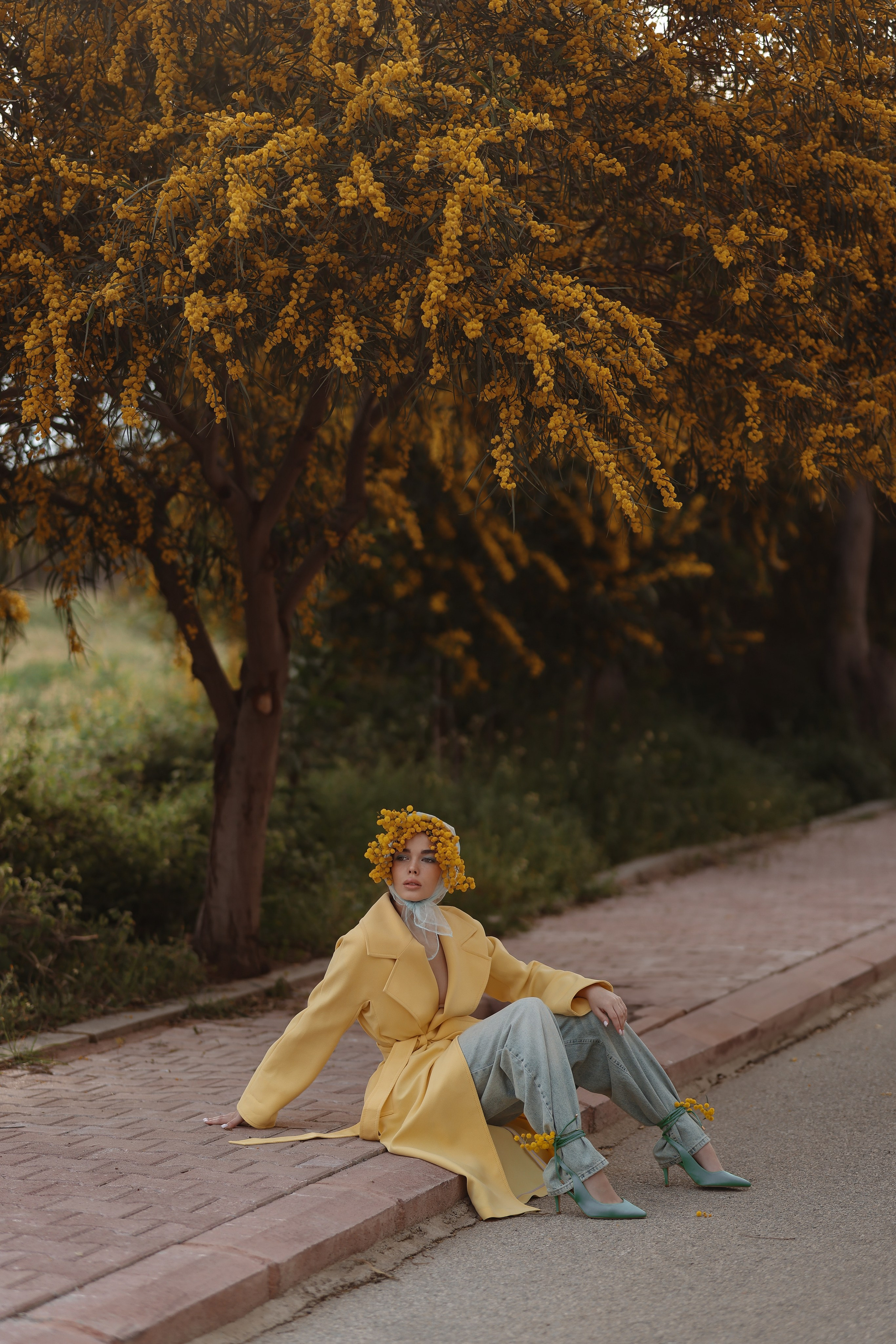 Цветение мимозы в Турции. Фотосессия в мимозе. Фотосессия с мимозой. Фотограф в Турции. Что сейчас цветет в Турции. Что сейчас цветет в Аланьи. Что цветет в апреле в анталии. Фотограф Алания турция. Мимоза в Турции. Цветение в Турции. Турецкая мимоза . Мимоза турция. 