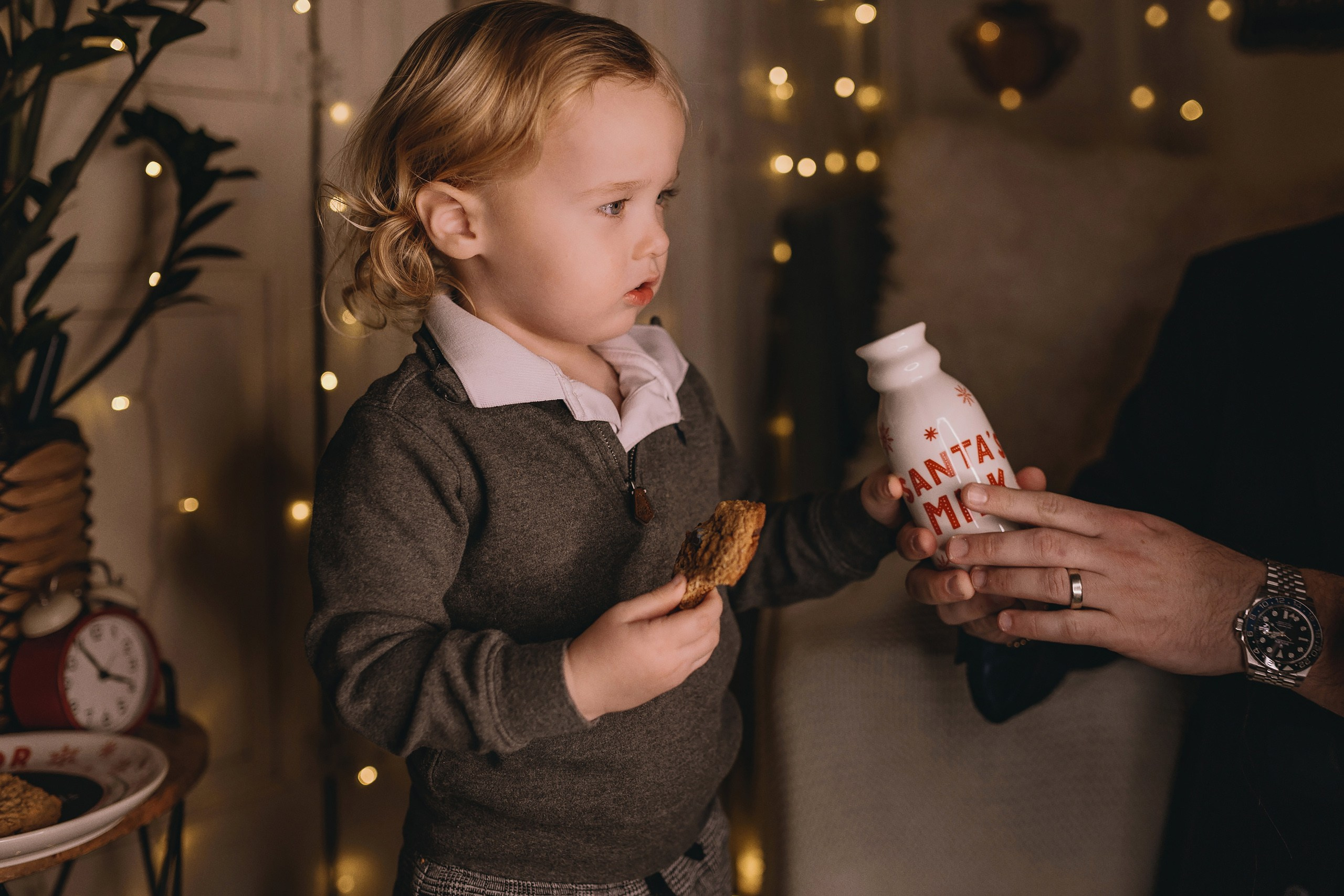 11.16.2025 Christmas Photoshoot. Wedding family event photographer in Chicago Nick Yushevich