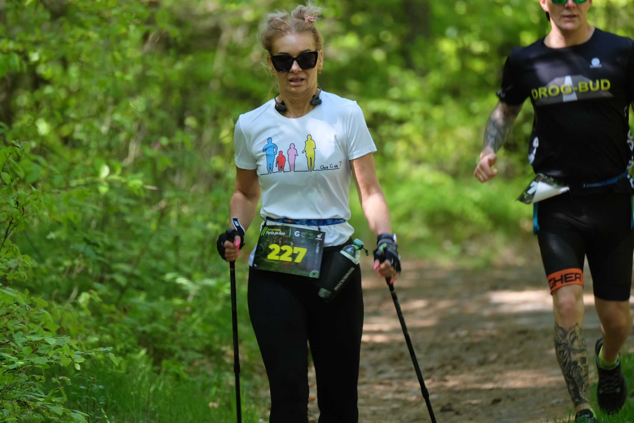 Aleksandryjska Piątka po lesie. Main
