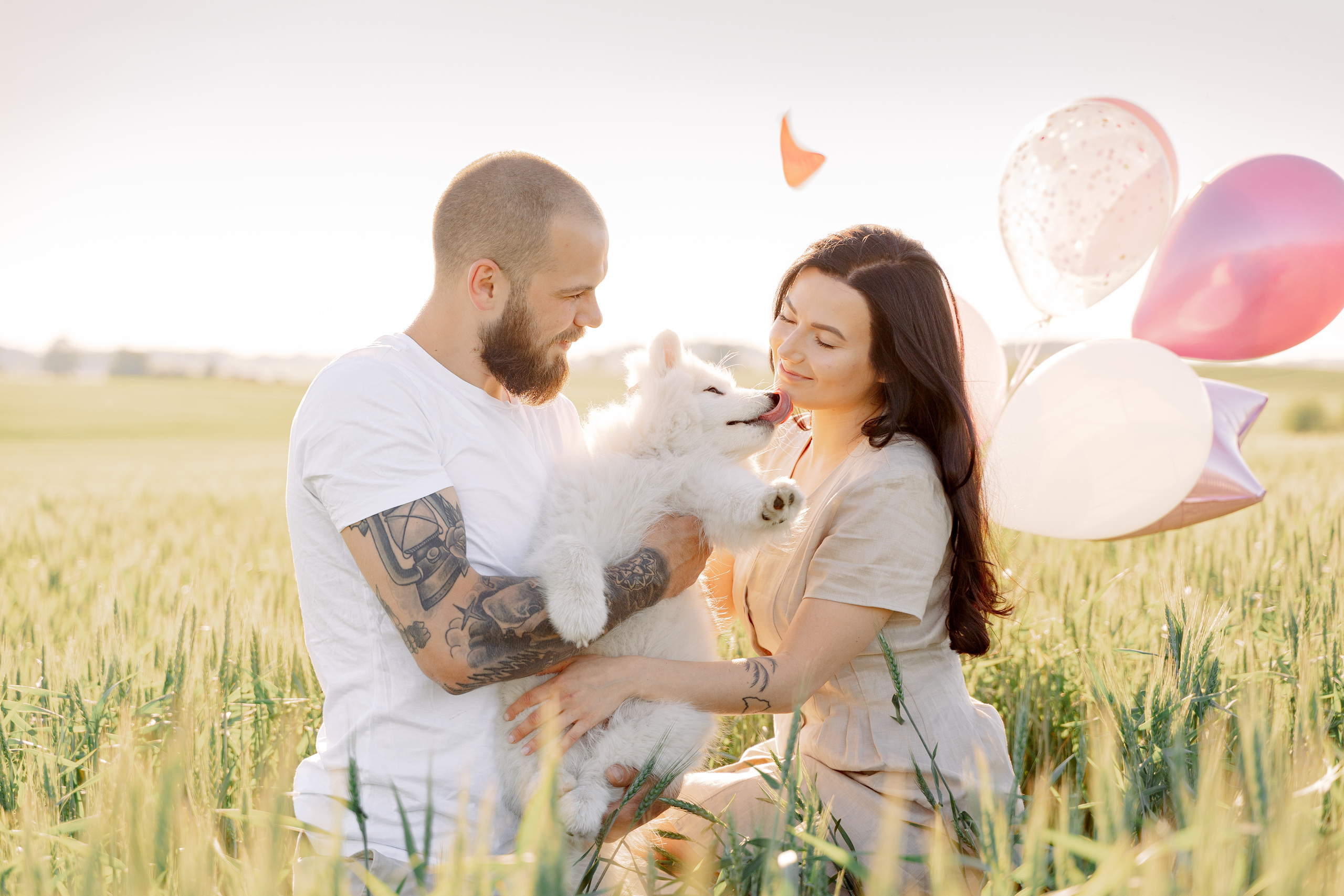 It’s a girl! Samoyed puppy Olivia. Макар Кириков — свадебный и семейный фотограф Даугавпилс, Рига, Вильну