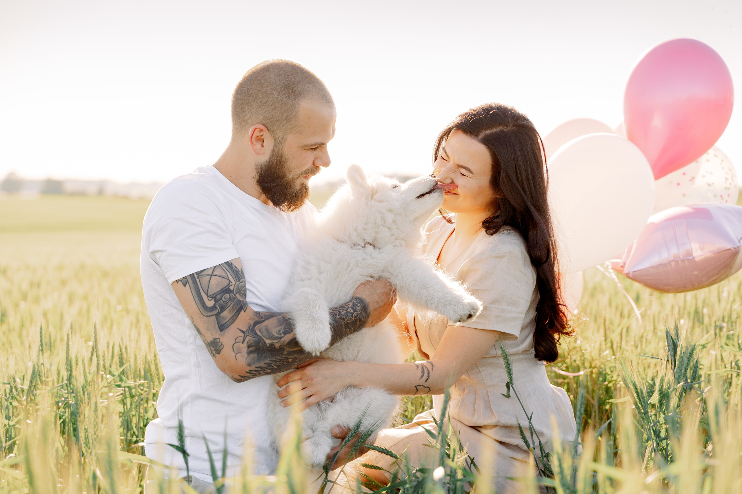 It’s a girl! Samoyed puppy Olivia. Макар Кириков — свадебный и семейный фотограф Даугавпилс, Рига, Вильну