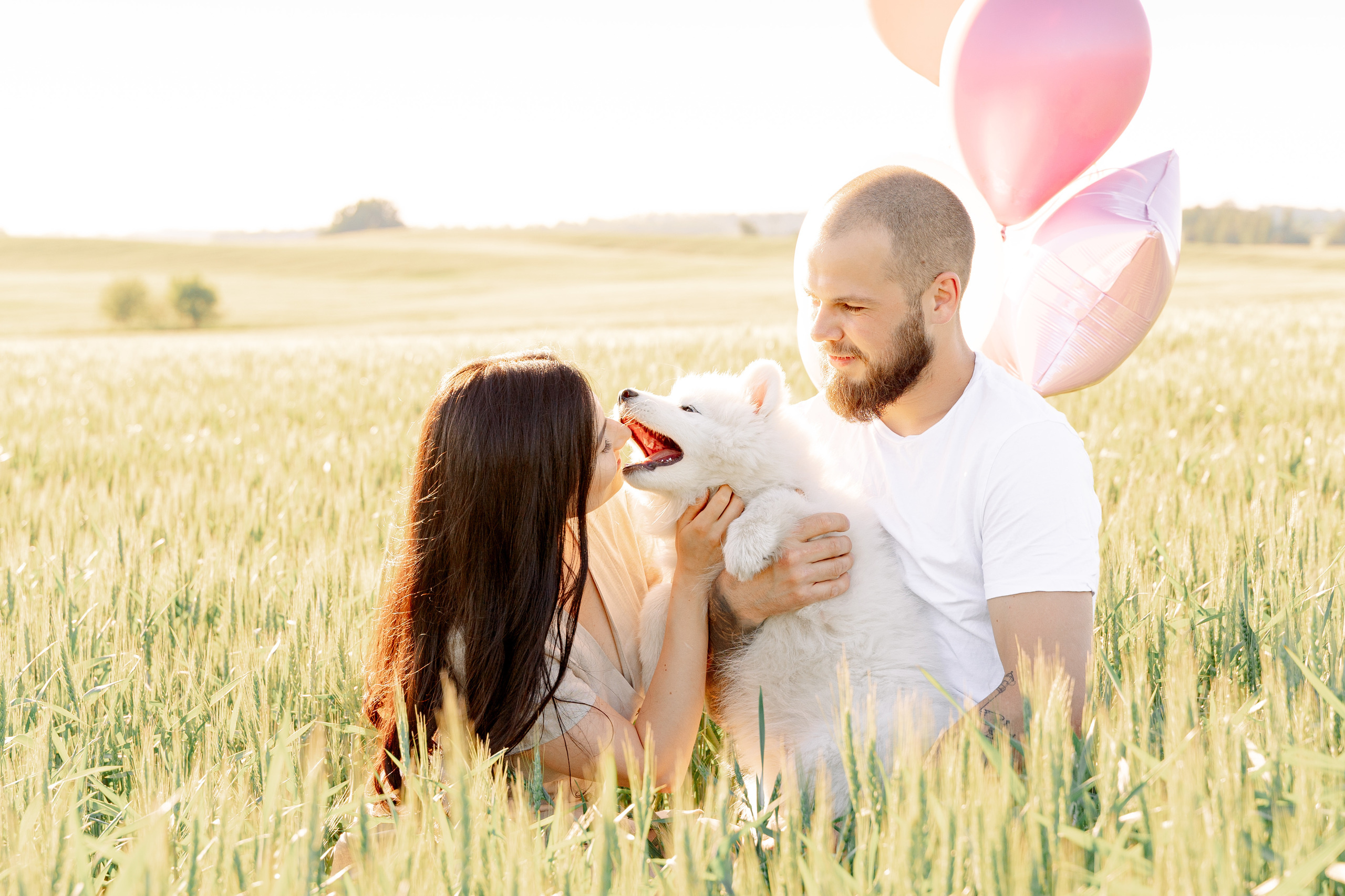 It’s a girl! Samoyed puppy Olivia. Макар Кириков — свадебный и семейный фотограф Даугавпилс, Рига, Вильну