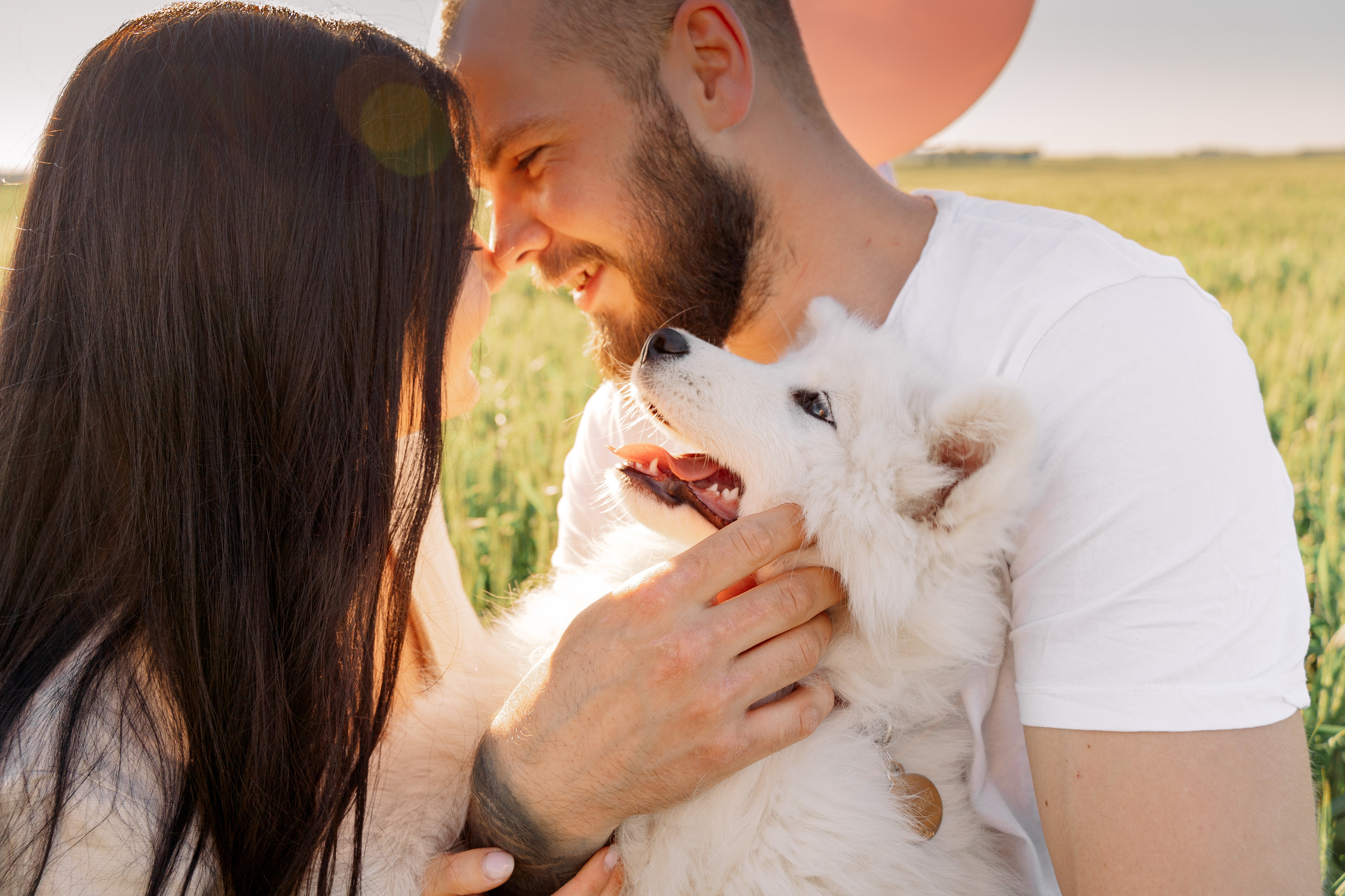 It’s a girl! Samoyed puppy Olivia. Макар Кириков — свадебный и семейный фотограф Даугавпилс, Рига, Вильну