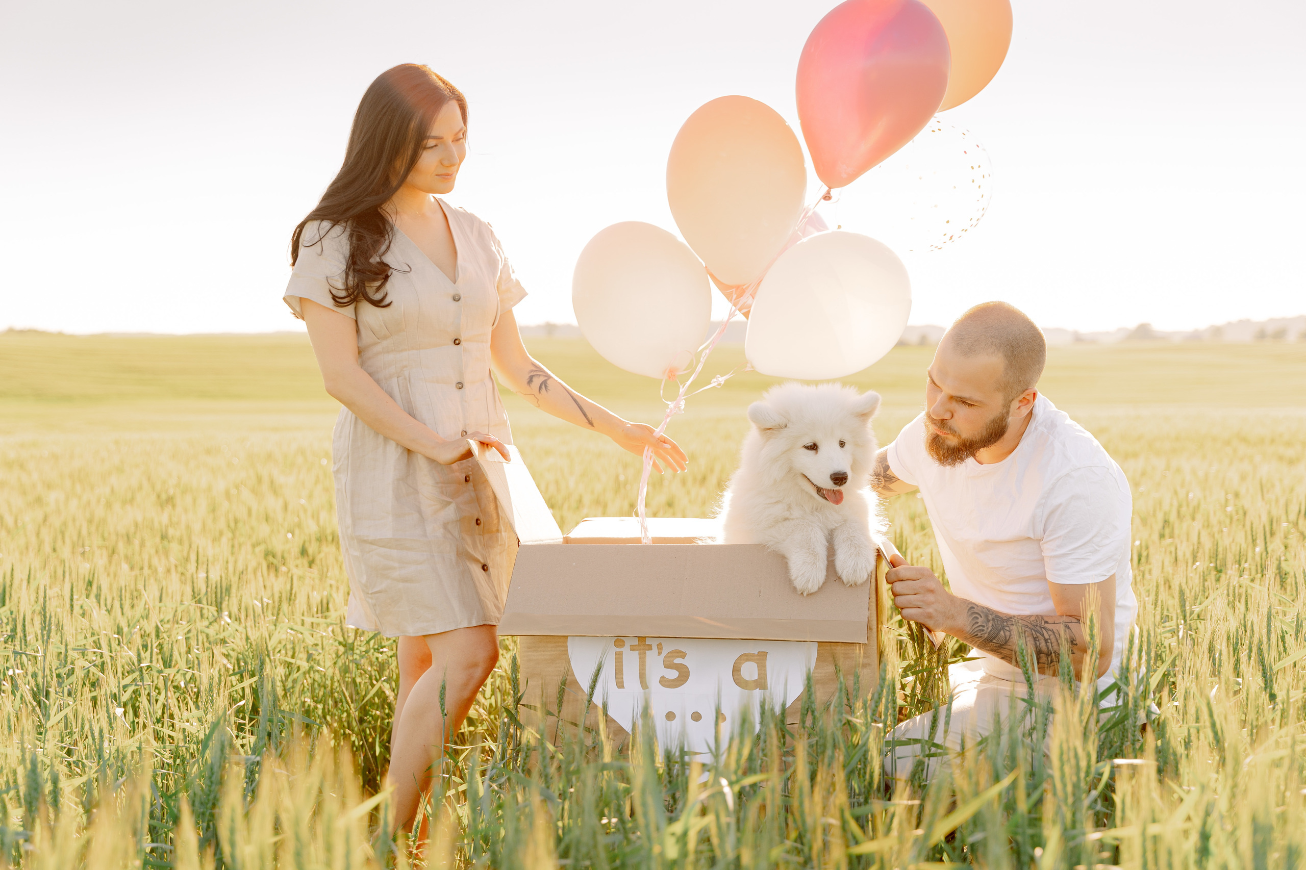 It’s a girl! Samoyed puppy Olivia. Макар Кириков — свадебный и семейный фотограф Даугавпилс, Рига, Вильну