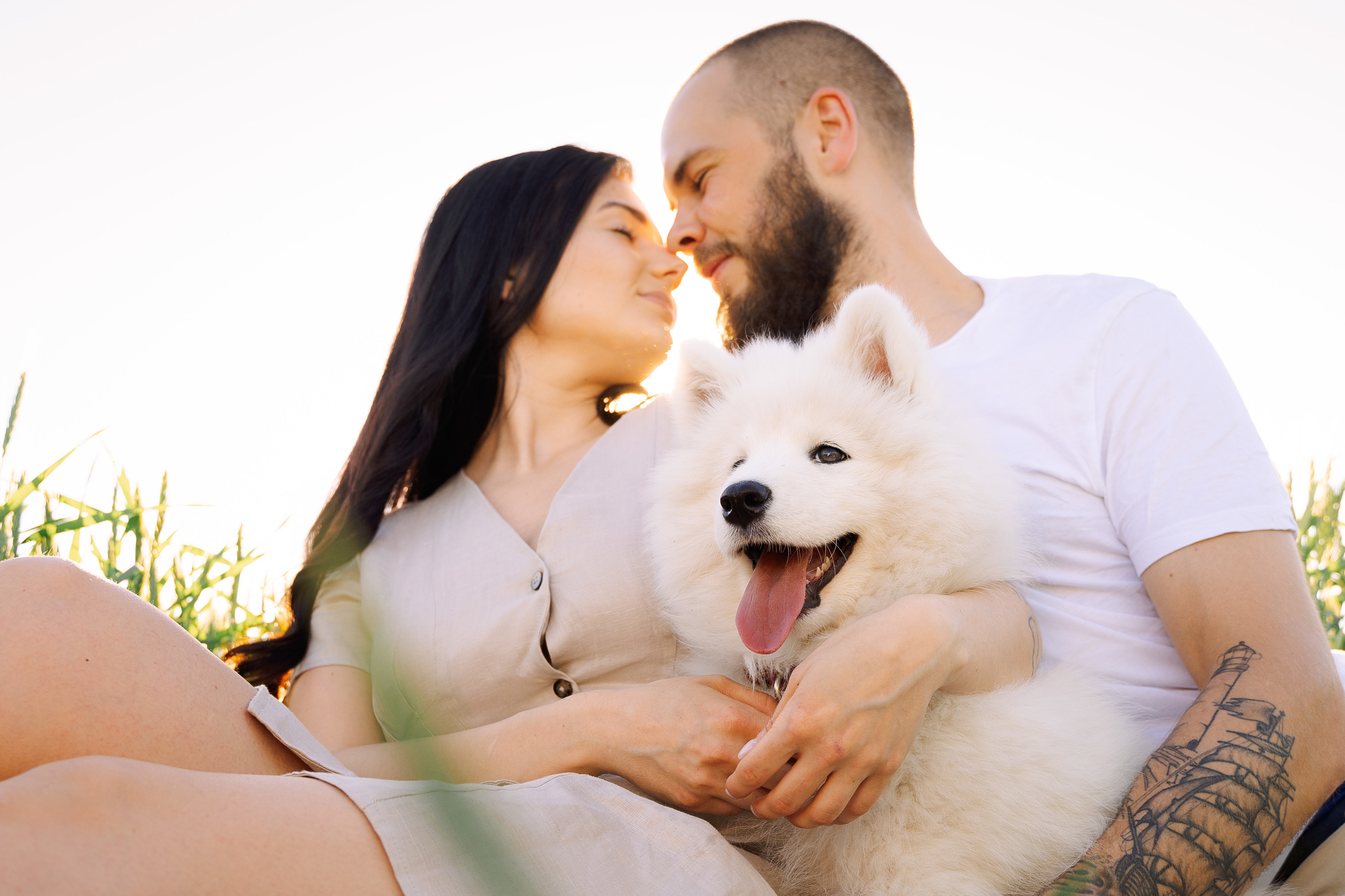 It’s a girl! Samoyed puppy Olivia. Макар Кириков — свадебный и семейный фотограф Даугавпилс, Рига, Вильну
