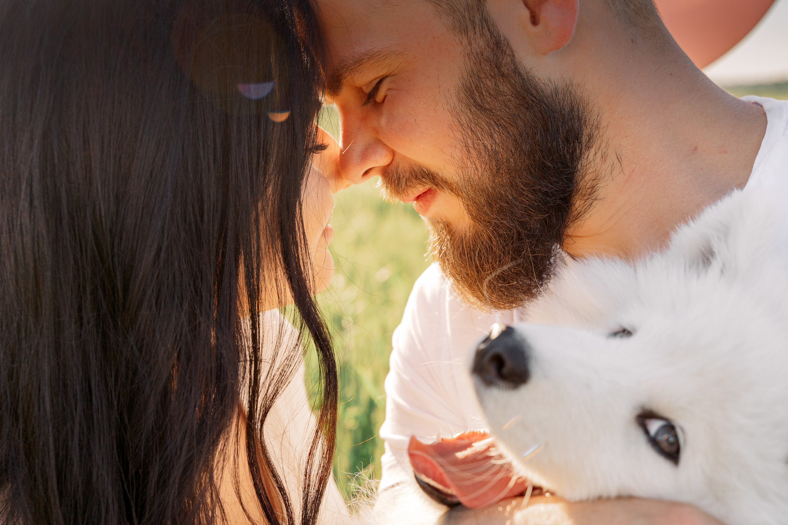 It’s a girl! Samoyed puppy Olivia. Макар Кириков — свадебный и семейный фотограф Даугавпилс, Рига, Вильну