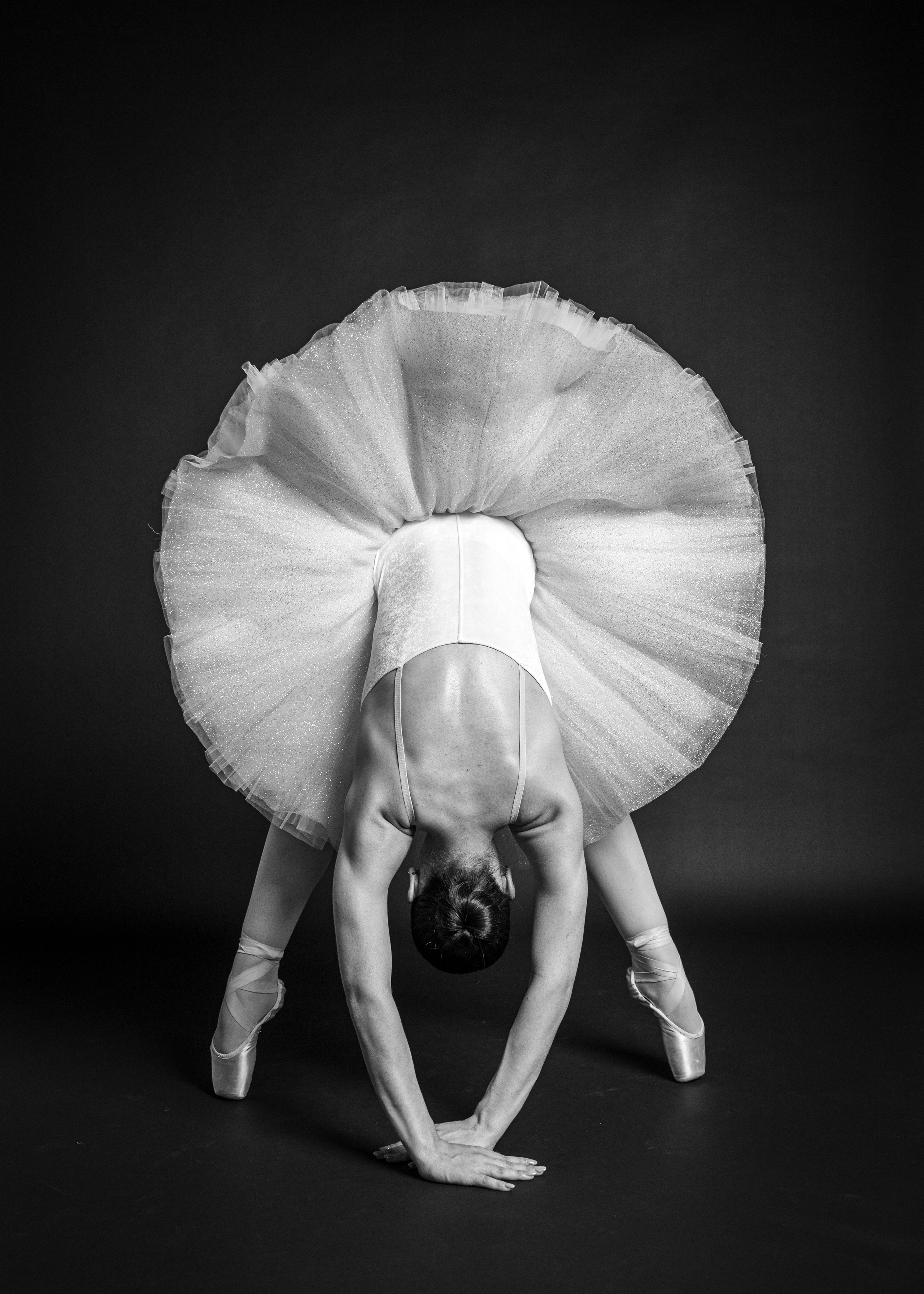 Danza Artistica. Ftphoto