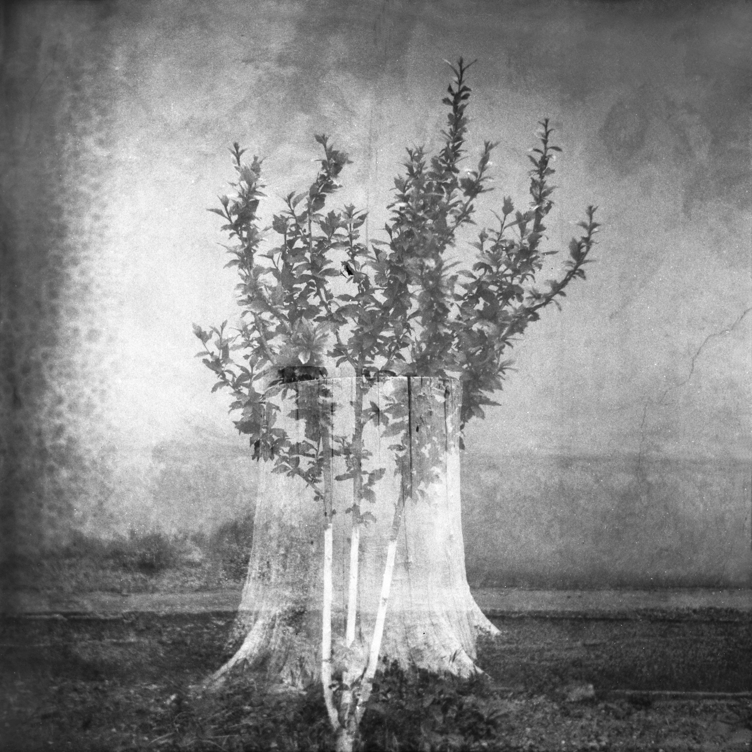 Tender Infinite Souls. Natalia Parfenova visual artist film photographer