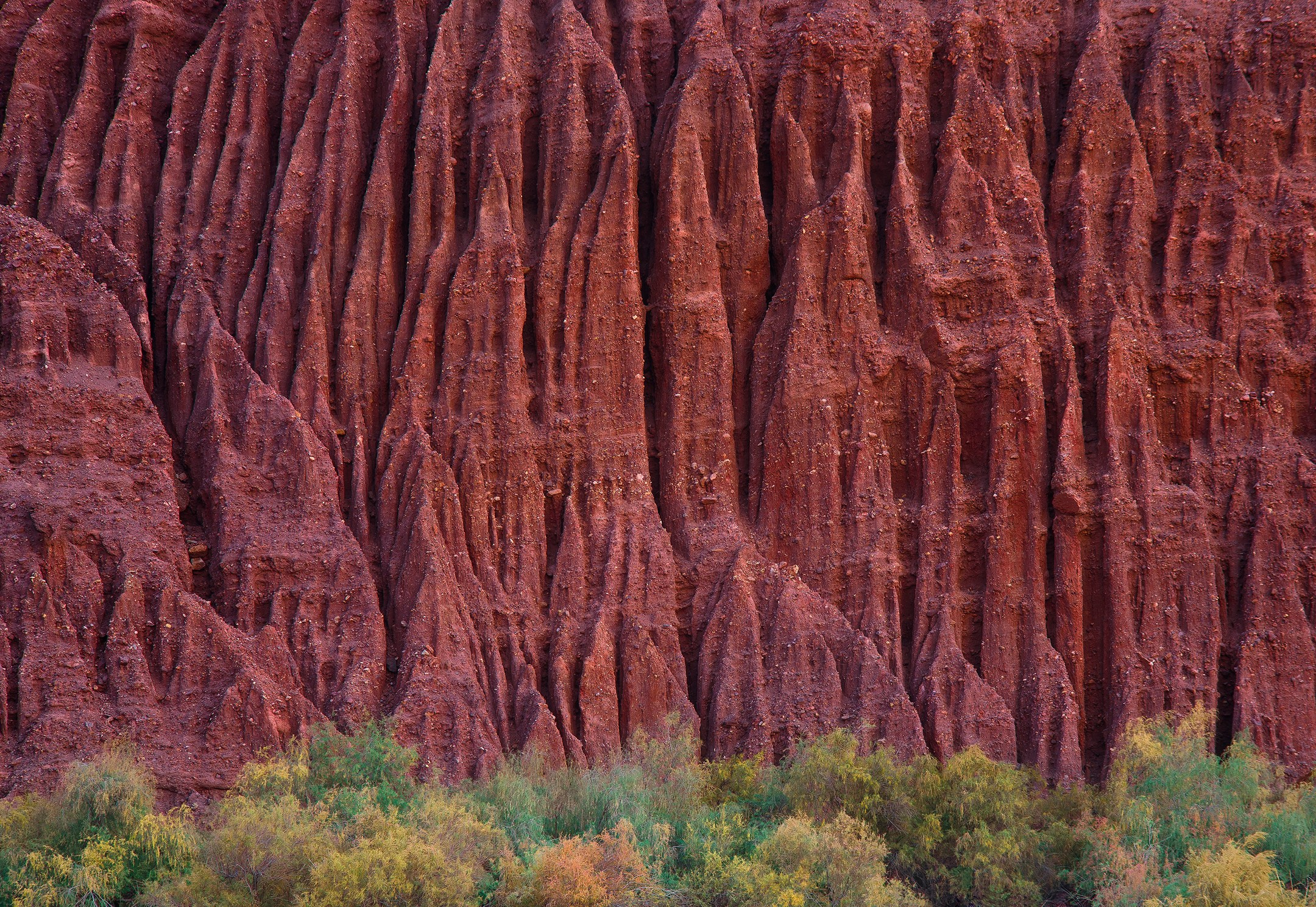 Abstract. Amirhamzeh Mashayekhi Photographer