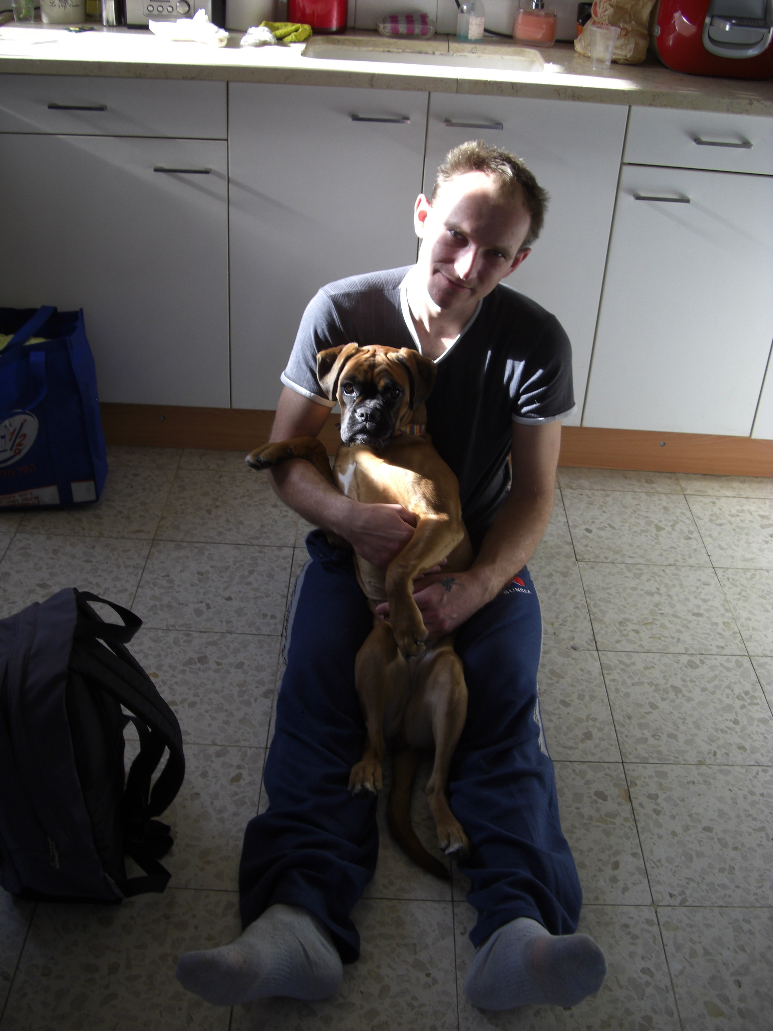 My ״Star״ Boxer Dog