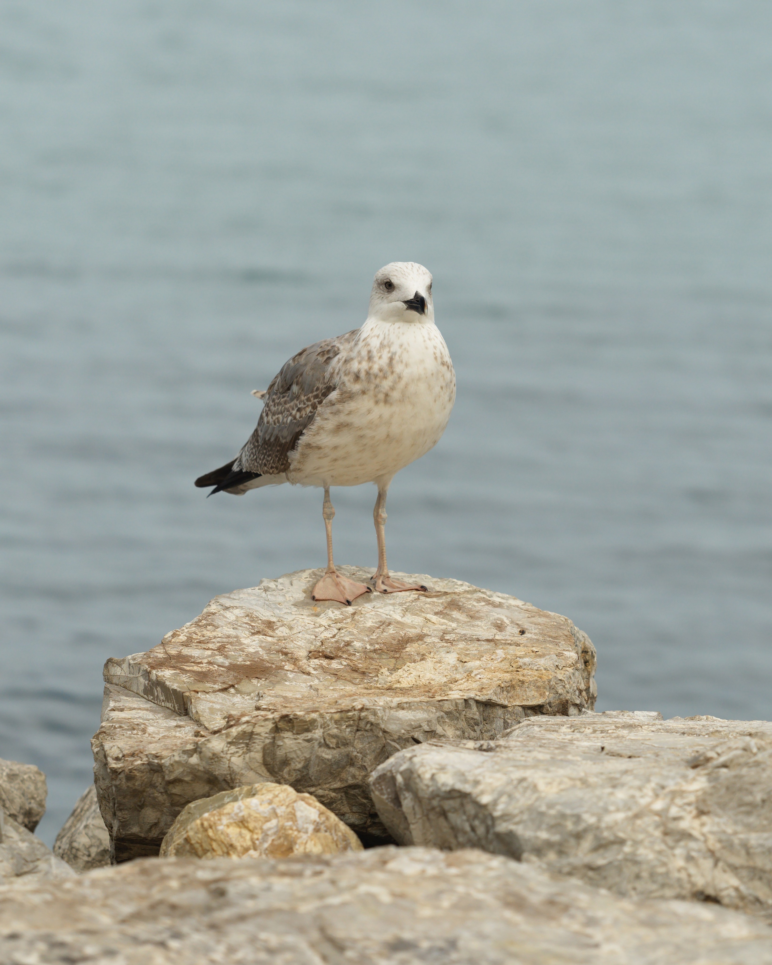Travel. Vitali Beidel - Stuttgart Visual artist und Fotograf