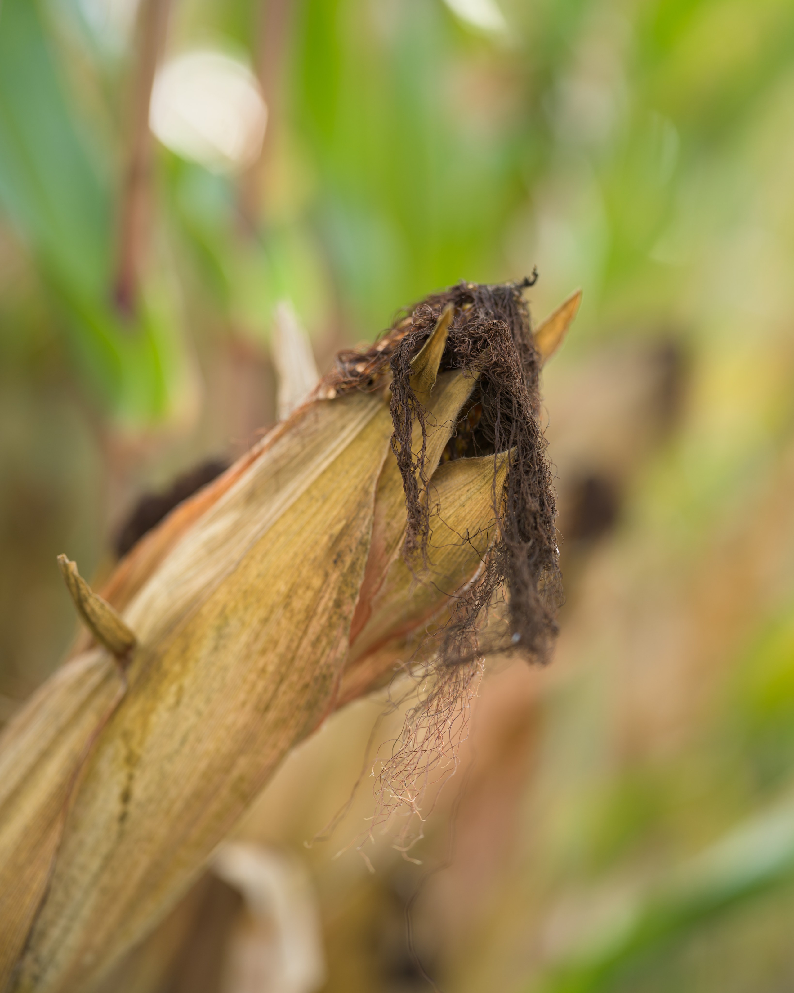 Travel. Visual artist | Fotograf | Stuttgart