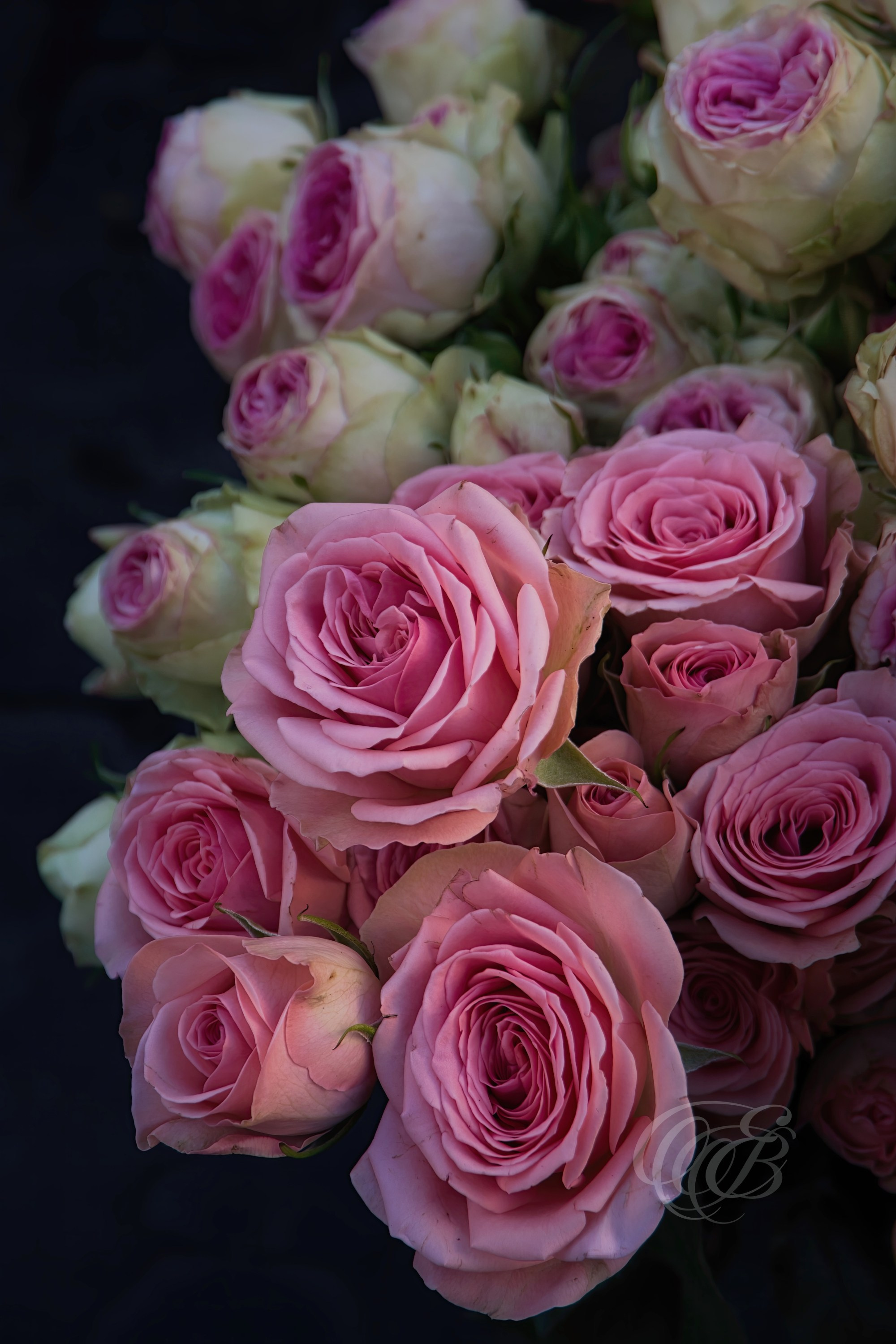 Rome Italy — Campo de’ Fiori bouquet of roses — Eduardo Bartoli Fine Art Photography — Photograph of a vibrant bouquet of roses in Campo de’ Fiori, Rome, Italy — photography by Eduardo Bartoli.