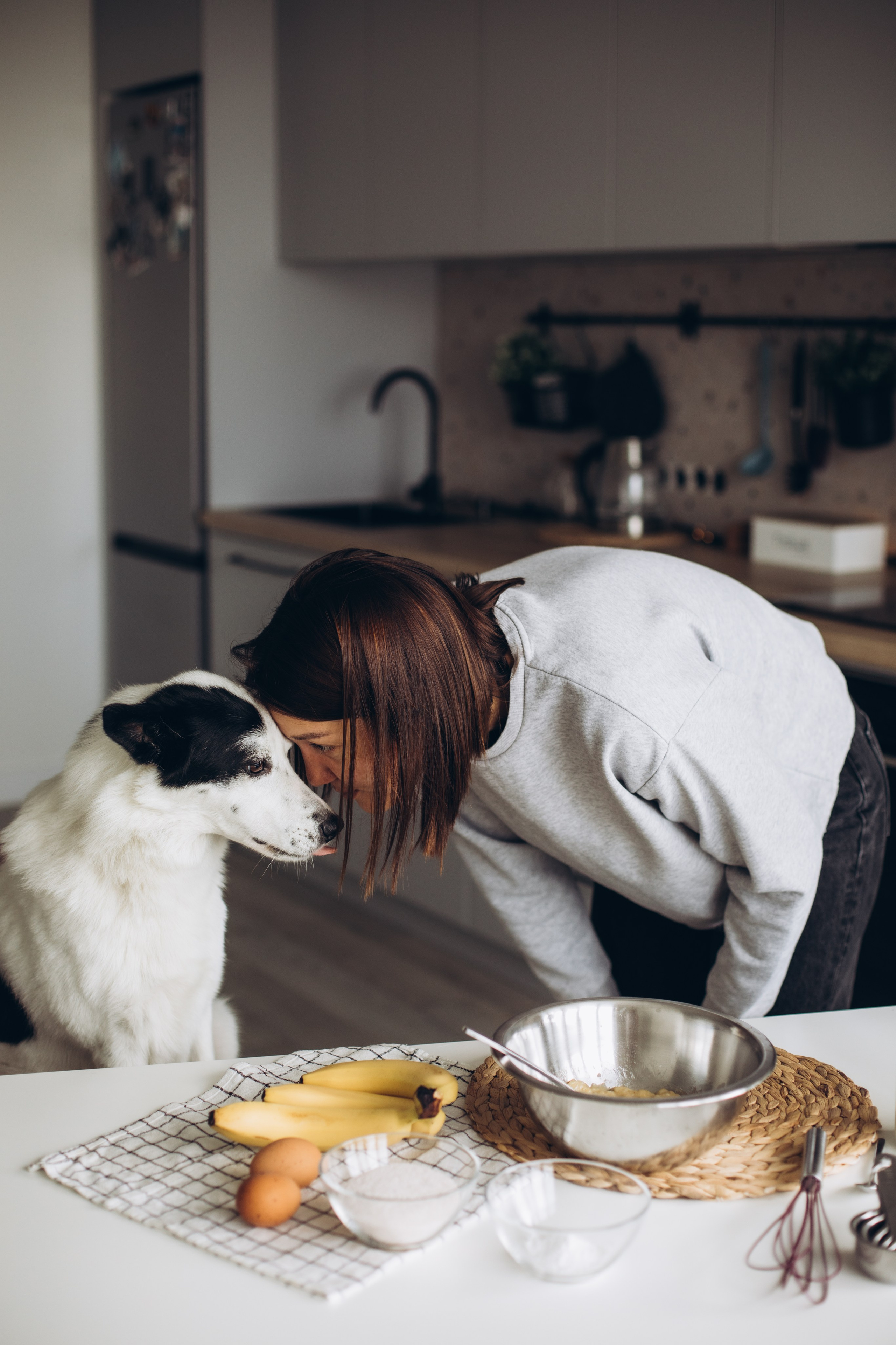 Kate&Tesla. Семейный фотограф в Кишинёве Пулькина Ольга
