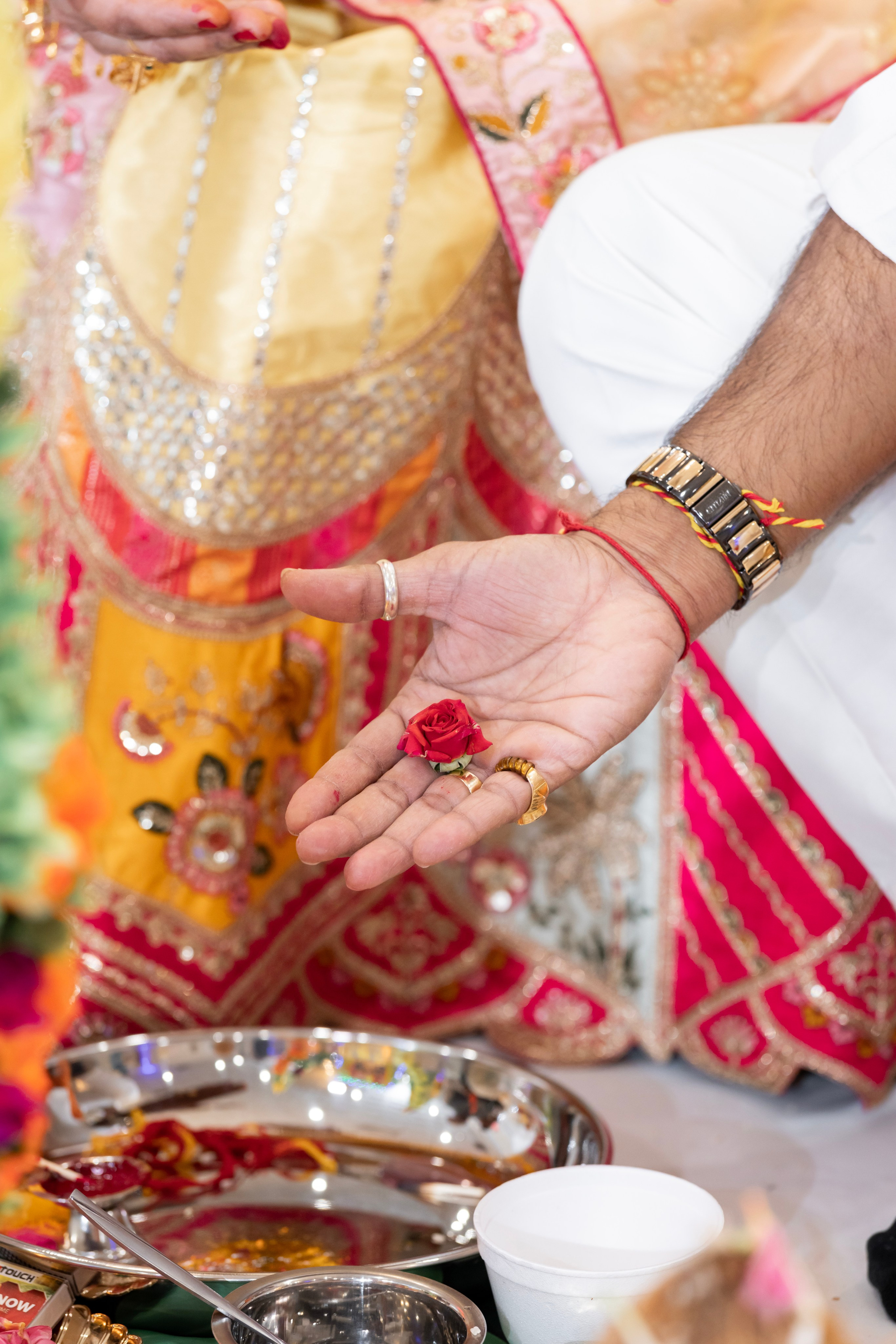Purva and Vivek. Irina Ermak wedding photographer in New York