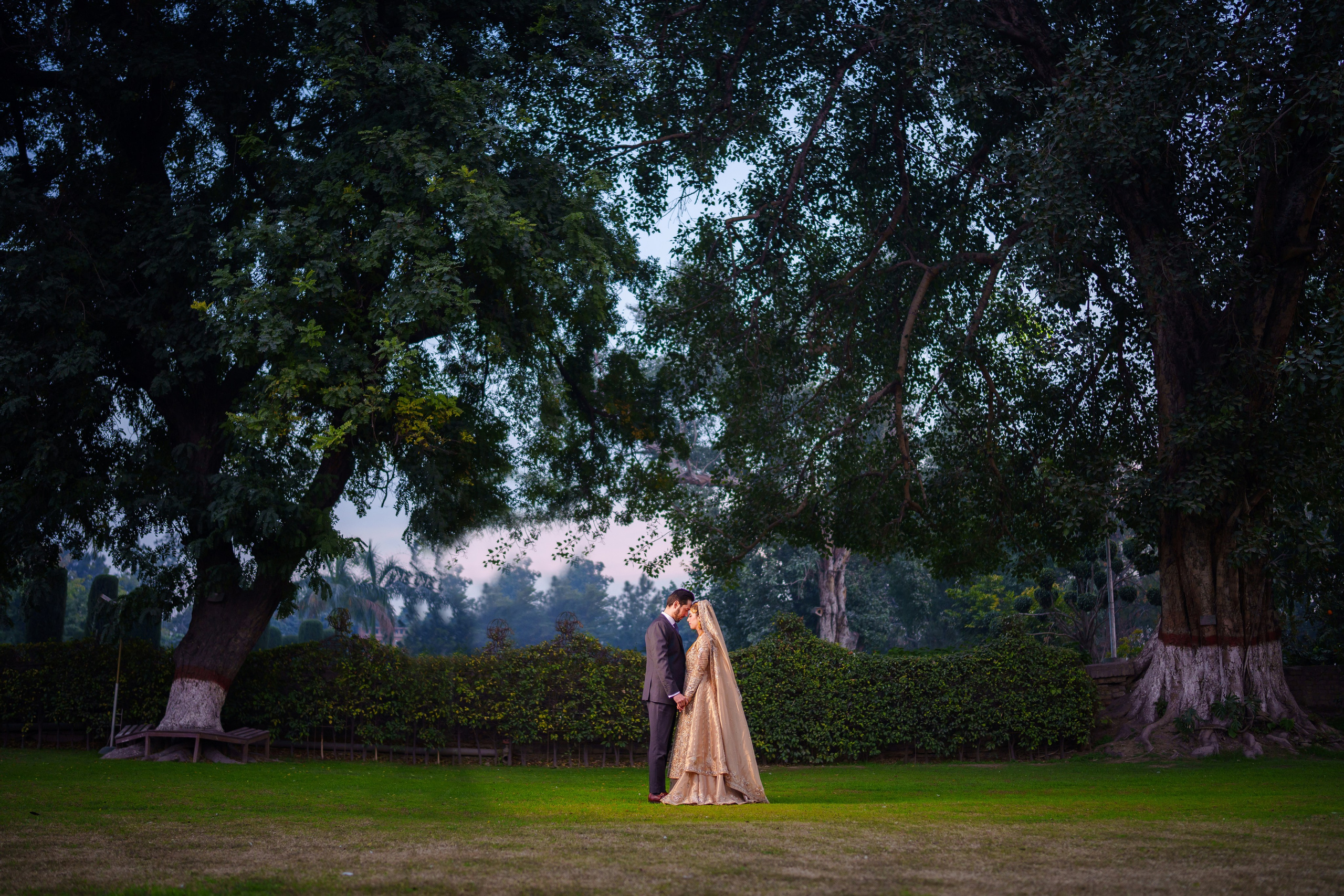 Testimonials. House of Taimur Riaz Khan